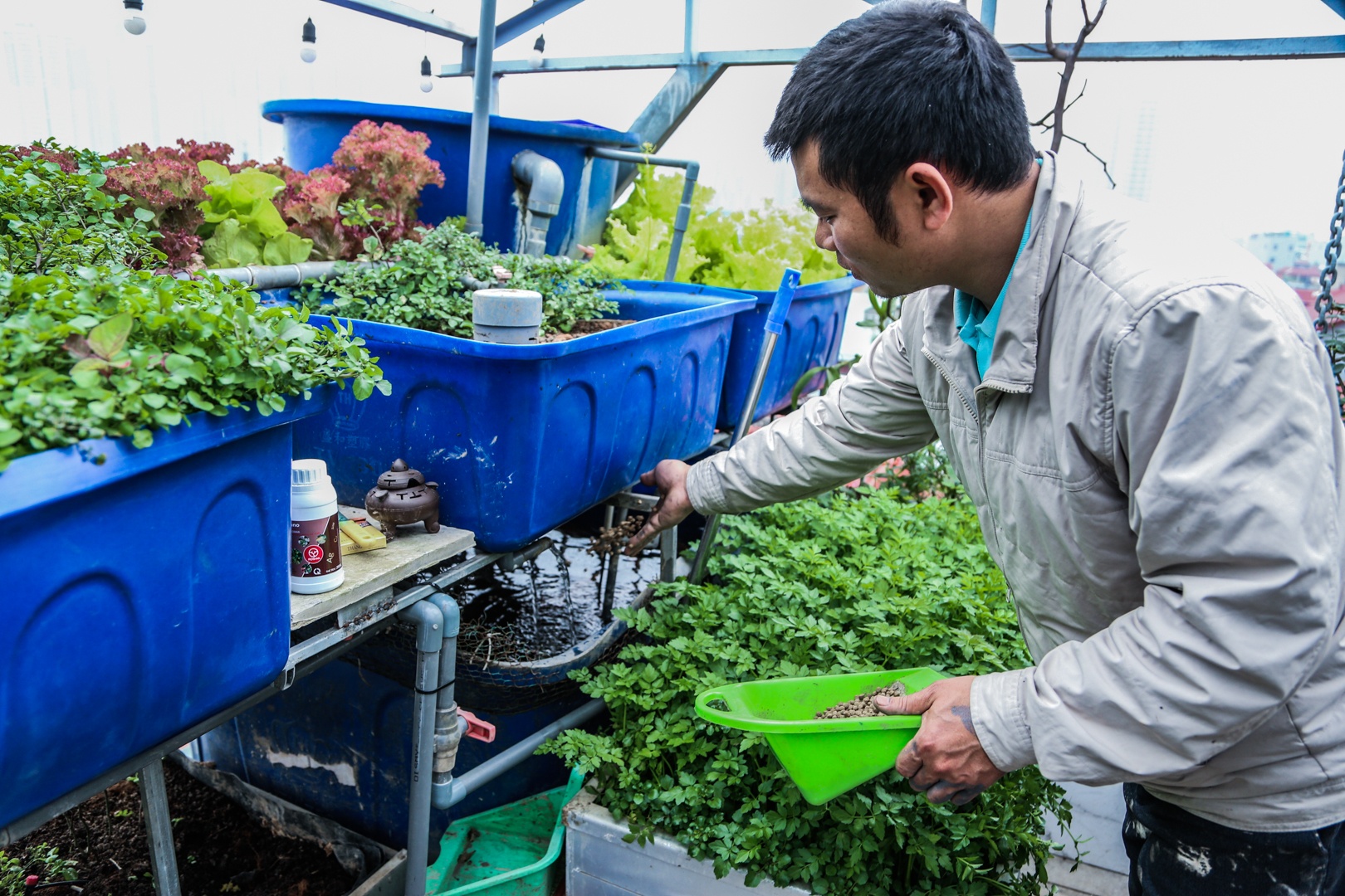 vuon tren san thuong anh 3