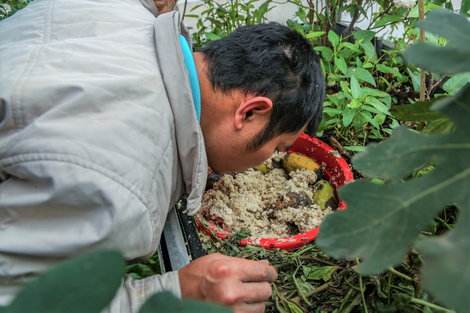 vuon tren san thuong anh 5