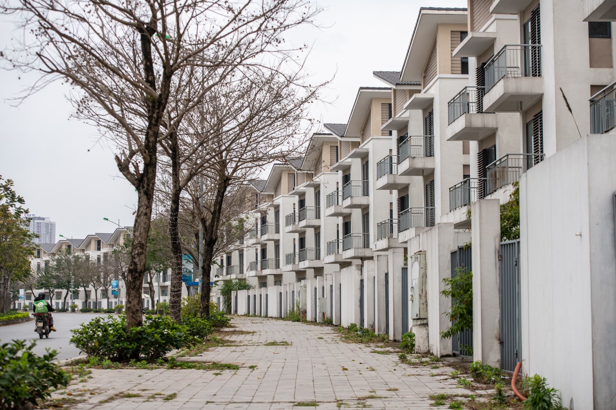 Hang tram biet thu bo hoang tai khu do thi hon 7.000 ty hinh anh