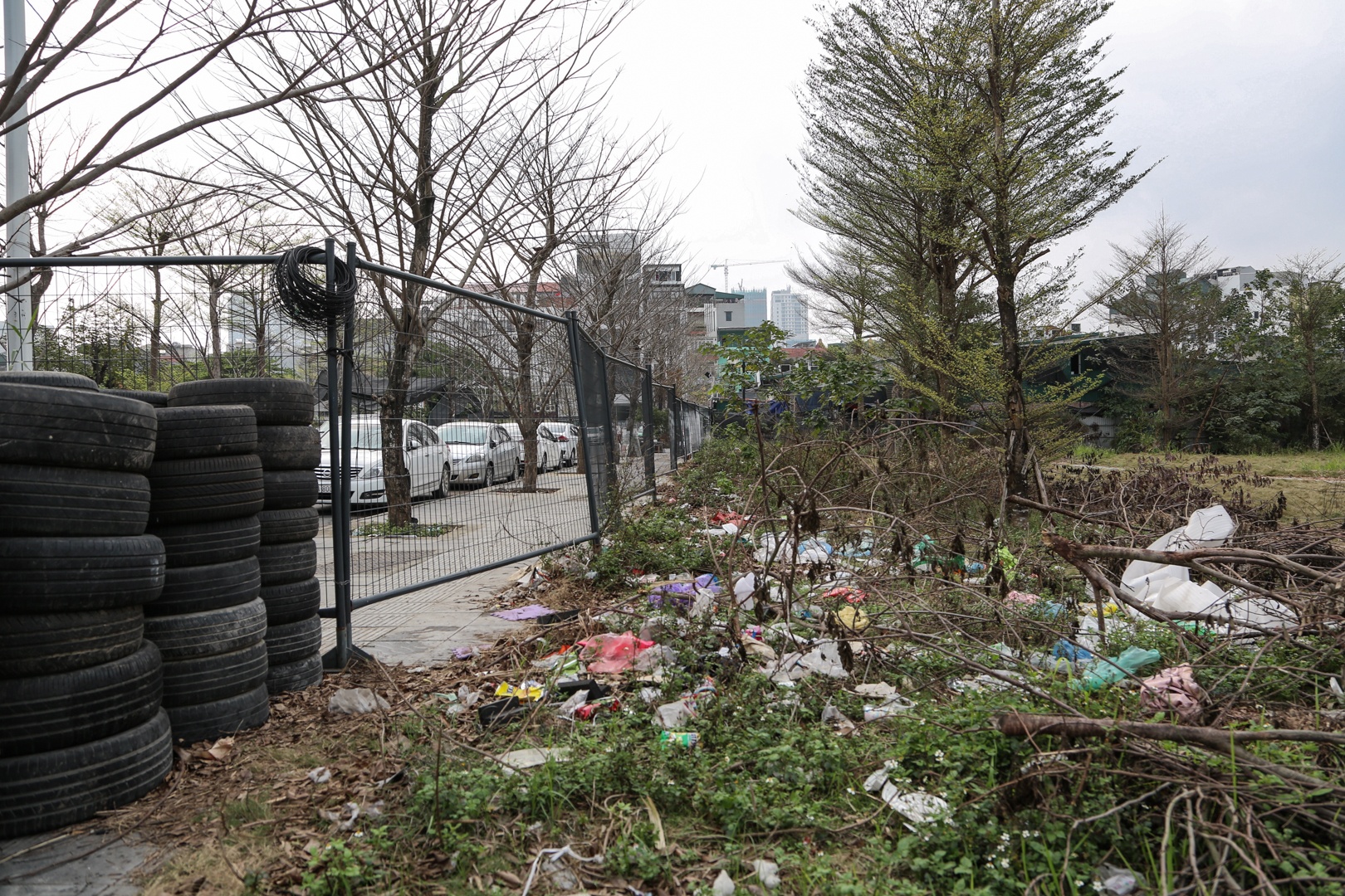 bo hoang duong dua f1 anh 8