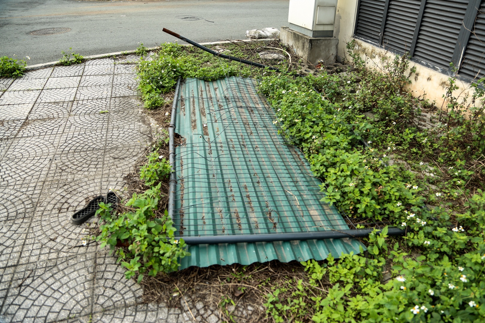 bo hoang duong dua f1 anh 9