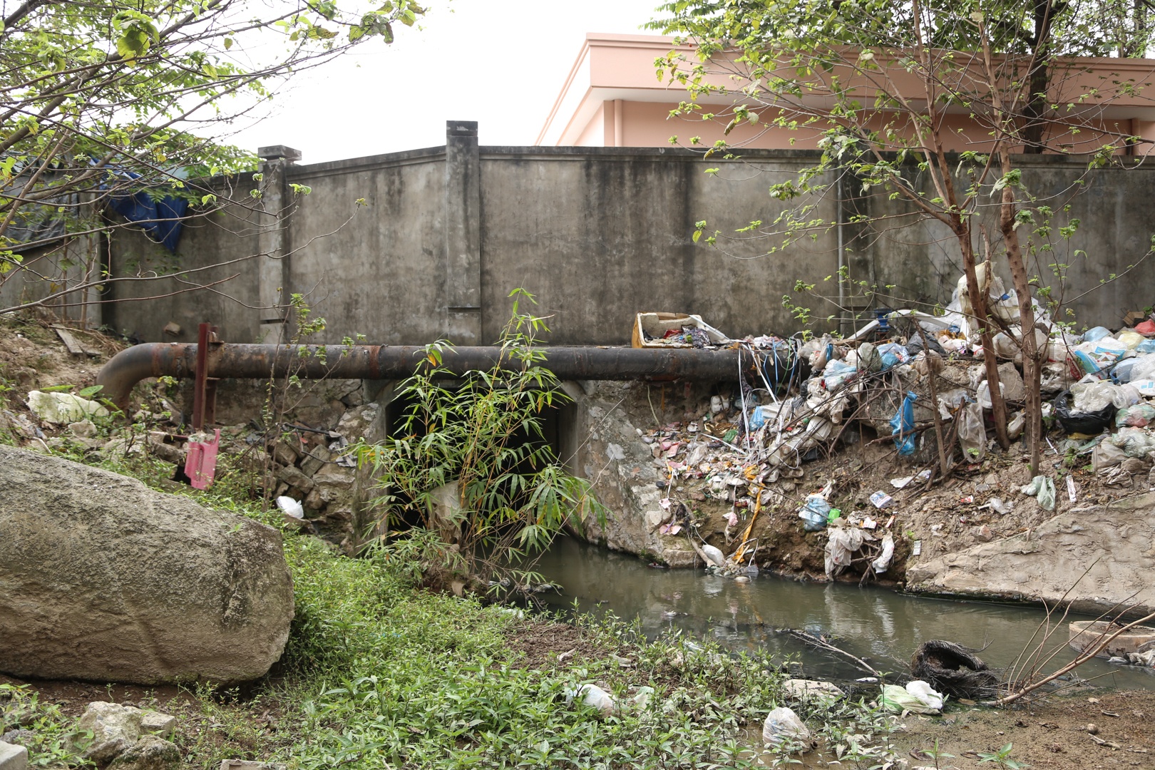 bai rac tu phat anh 6