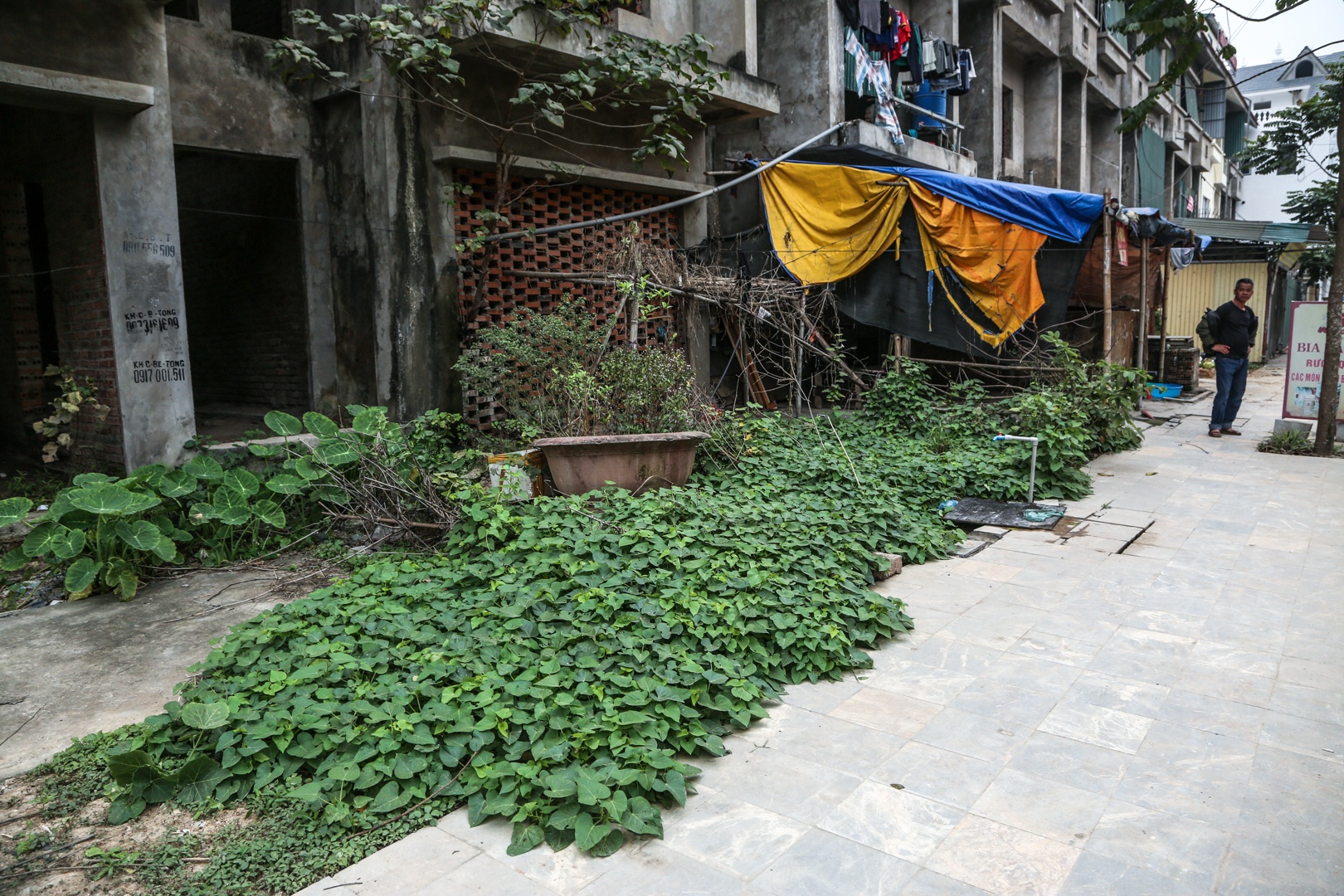 biet thu bo khong anh 6