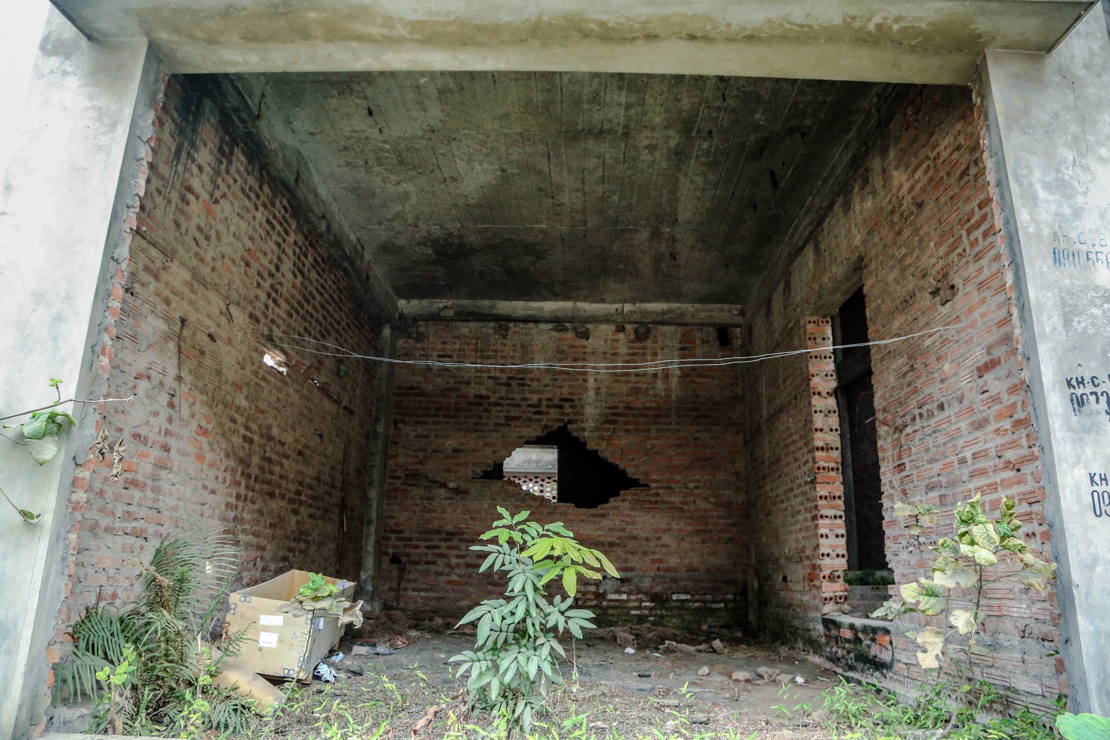 biet thu bo khong anh 9