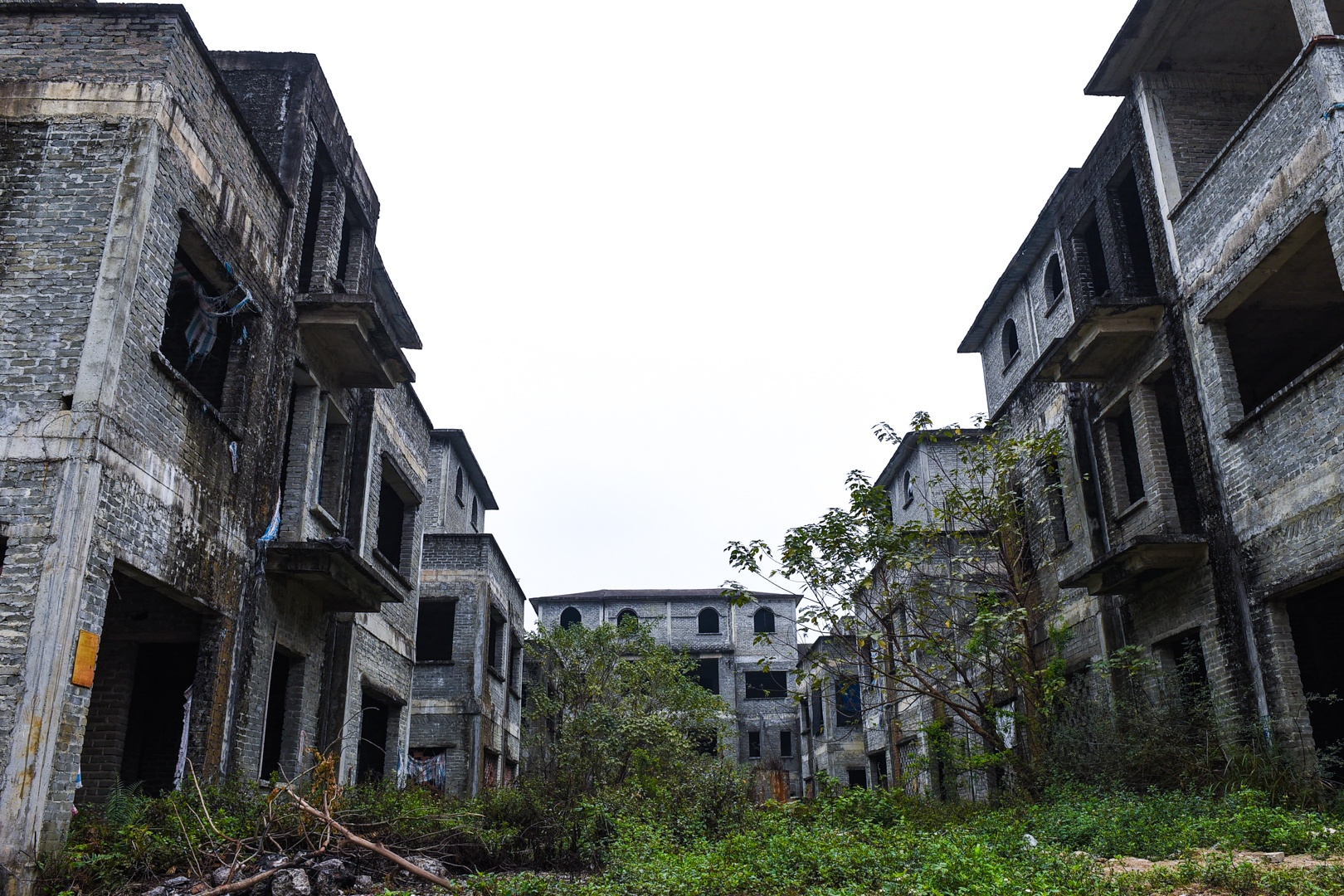 Loat biet thu bo hoang ca thap ky o khu do thi nghin ty hinh anh