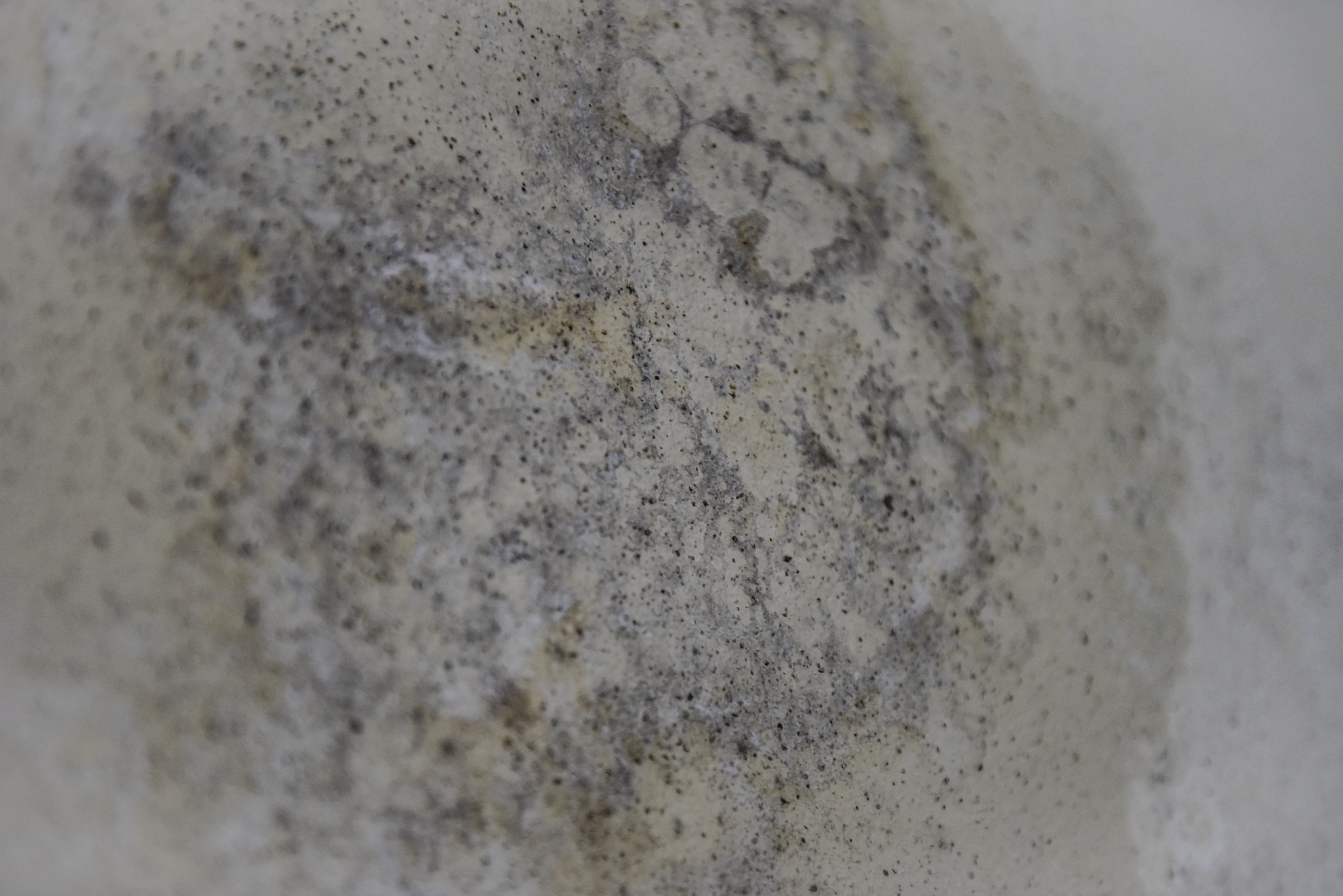 thoi tiet nom am anh 6