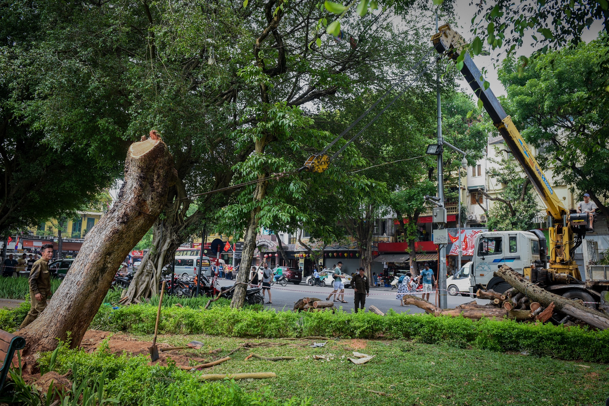 Chat ha cay sua do anh 7