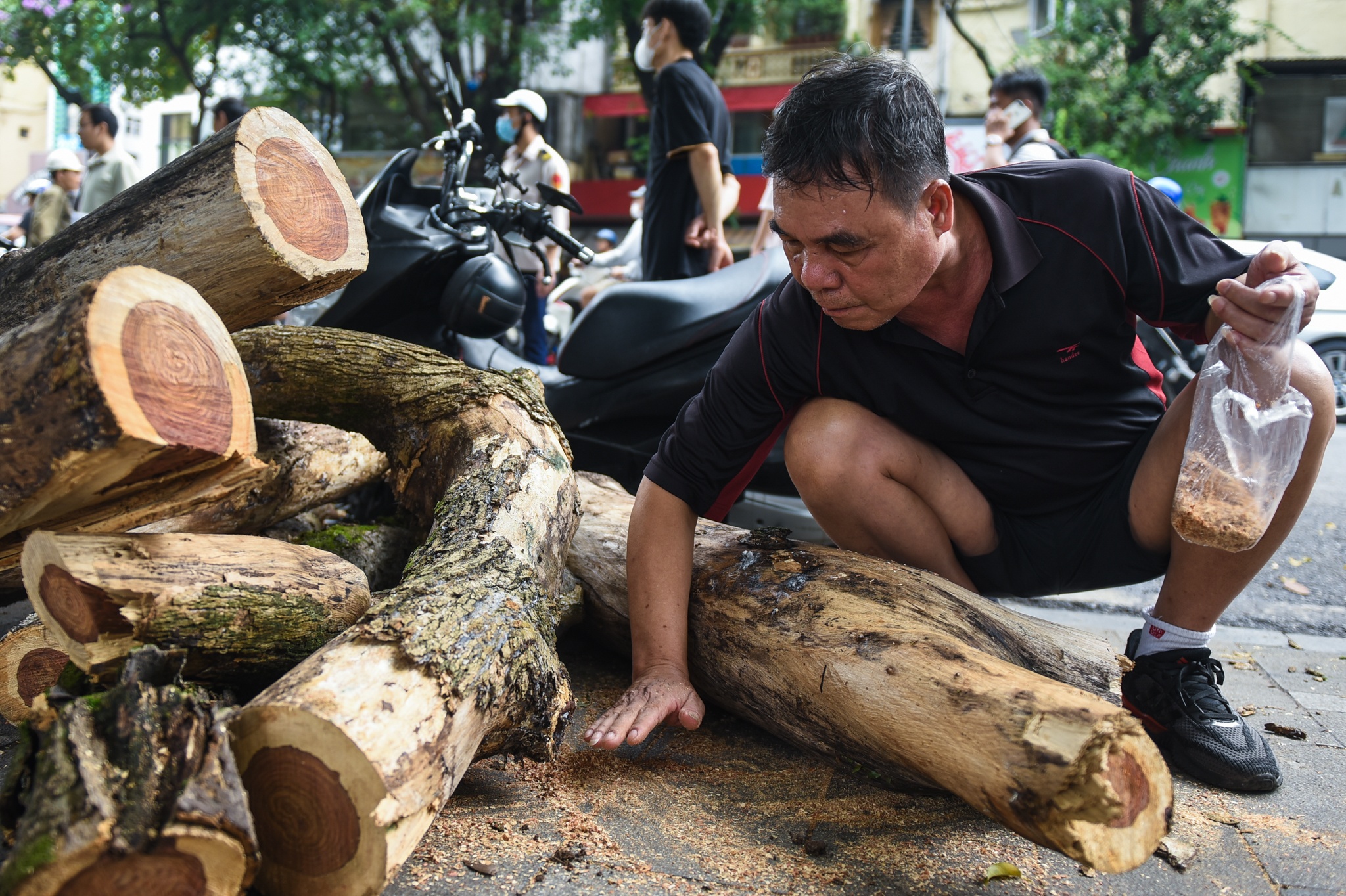 Nguoi dan gom mun cua sau khi cay sua do ben ho Guom bi chat ha hinh anh