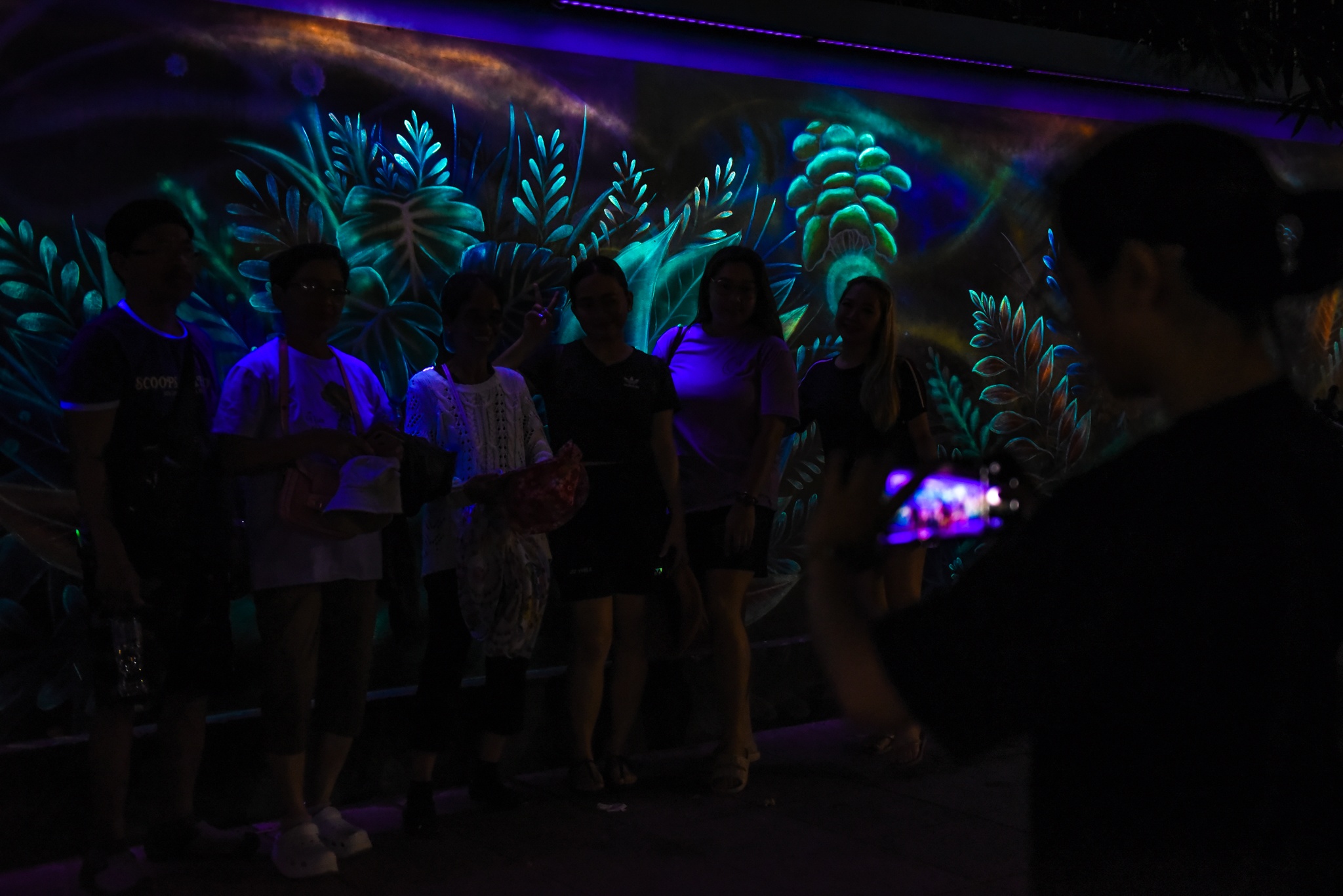 Ha Noi cat giam dien anh 6