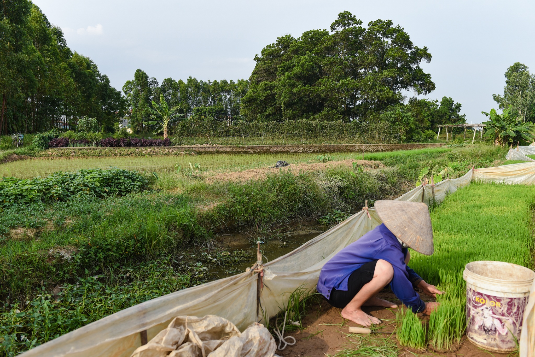 du an bi thu hoi anh 4