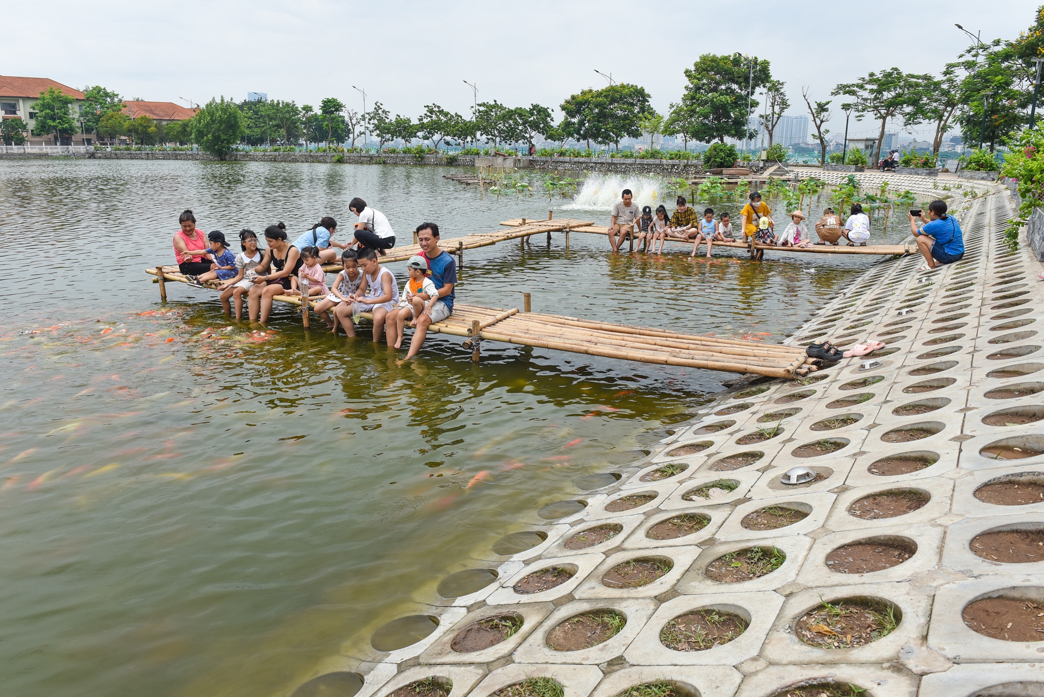 ca Koi o ho Tay anh 1