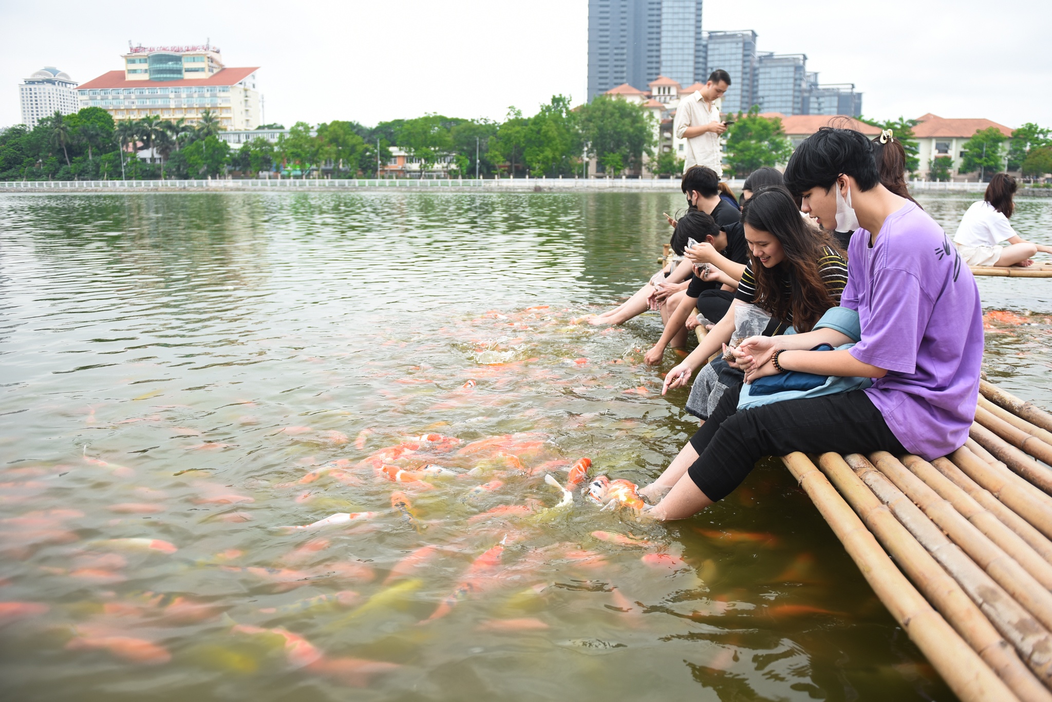Hang nghin con ca koi du mau sac bat ngo xuat hien o ho Tay hinh anh