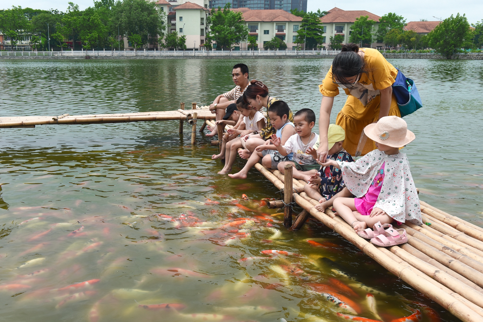 ca Koi o ho Tay anh 5