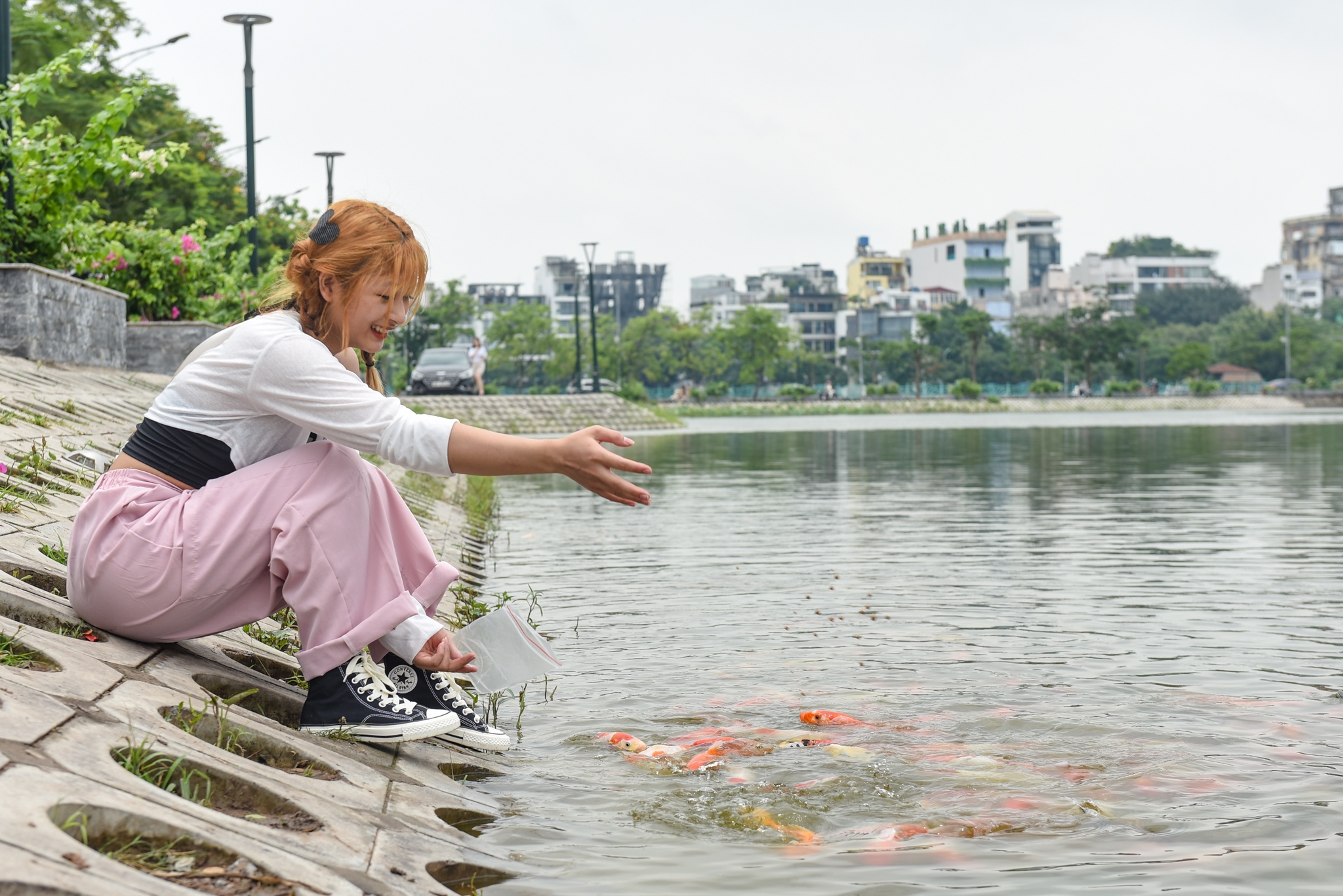 ca Koi o ho Tay anh 9