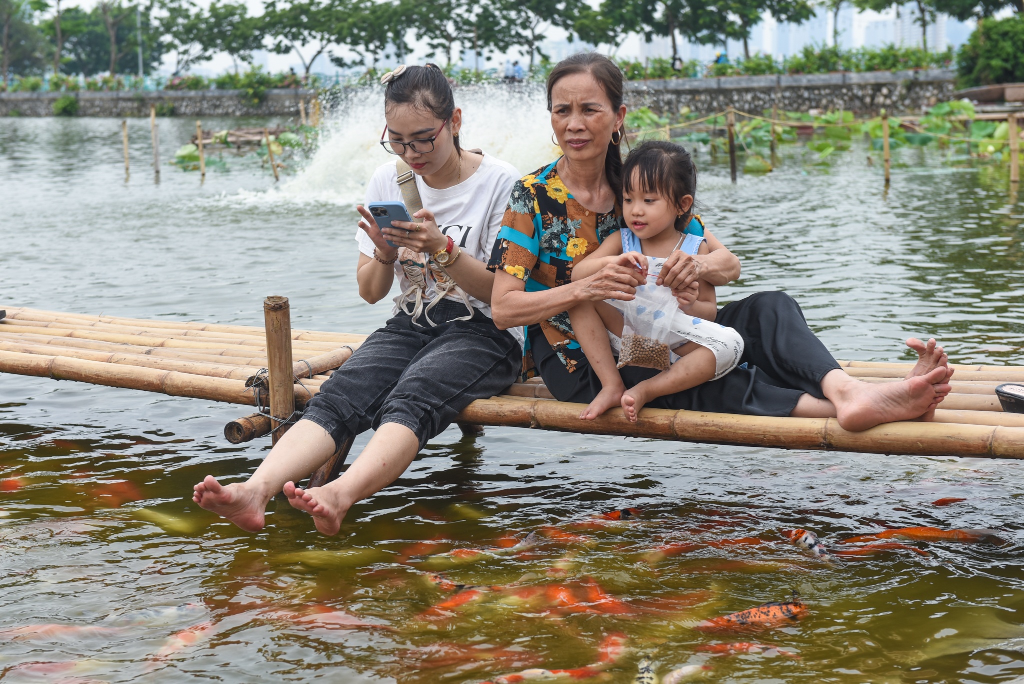 ca Koi o ho Tay anh 10