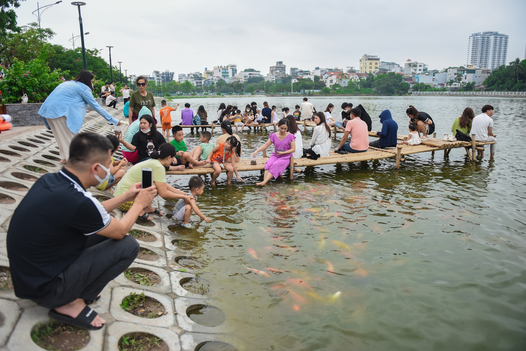 ca Koi o ho Tay anh 11