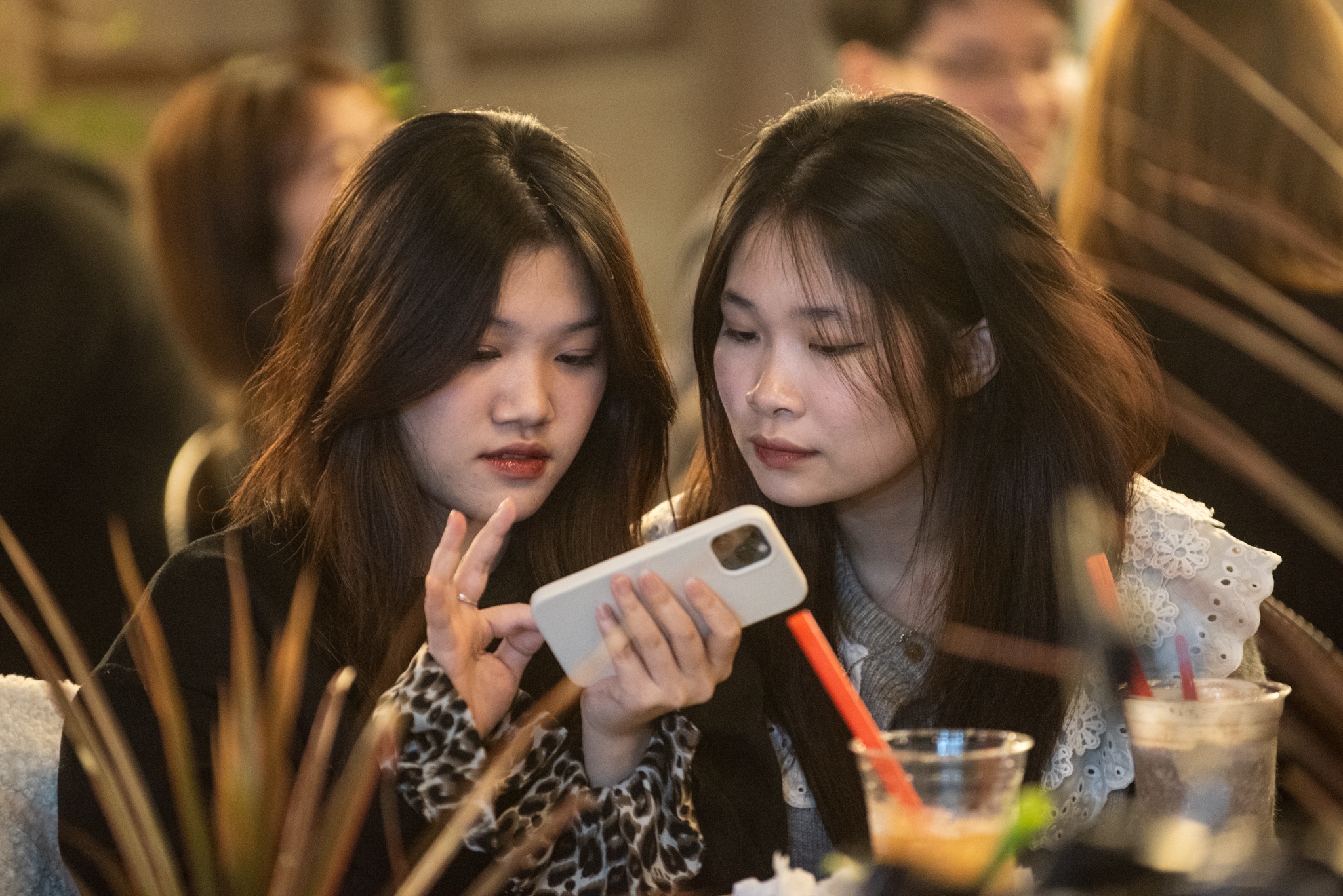 cà phê thâu đêm ảnh 8 ca phe thau dem anh 8