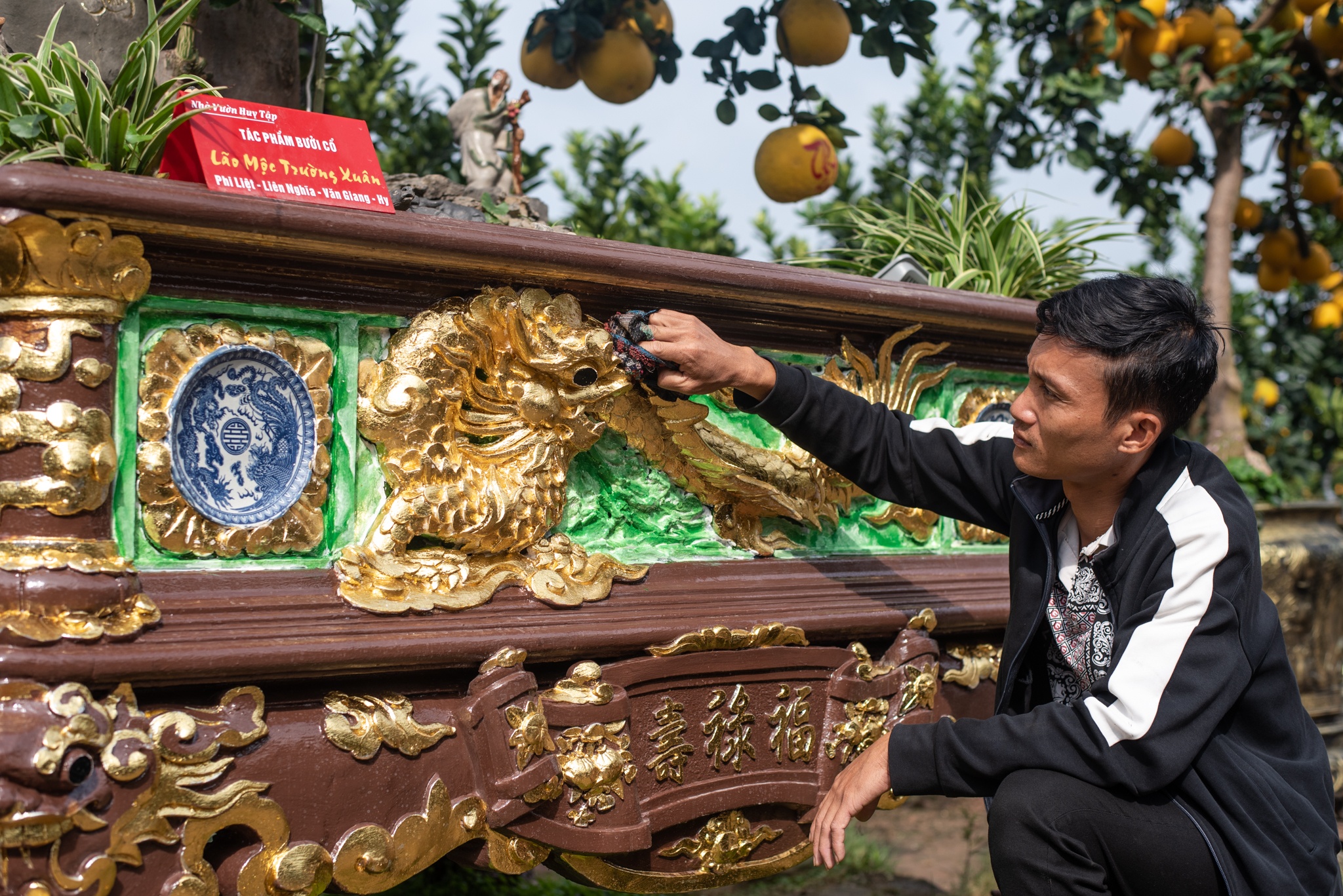 Cay buoi co dat vang choi Tet duoc rao gia ca ty dong hinh anh