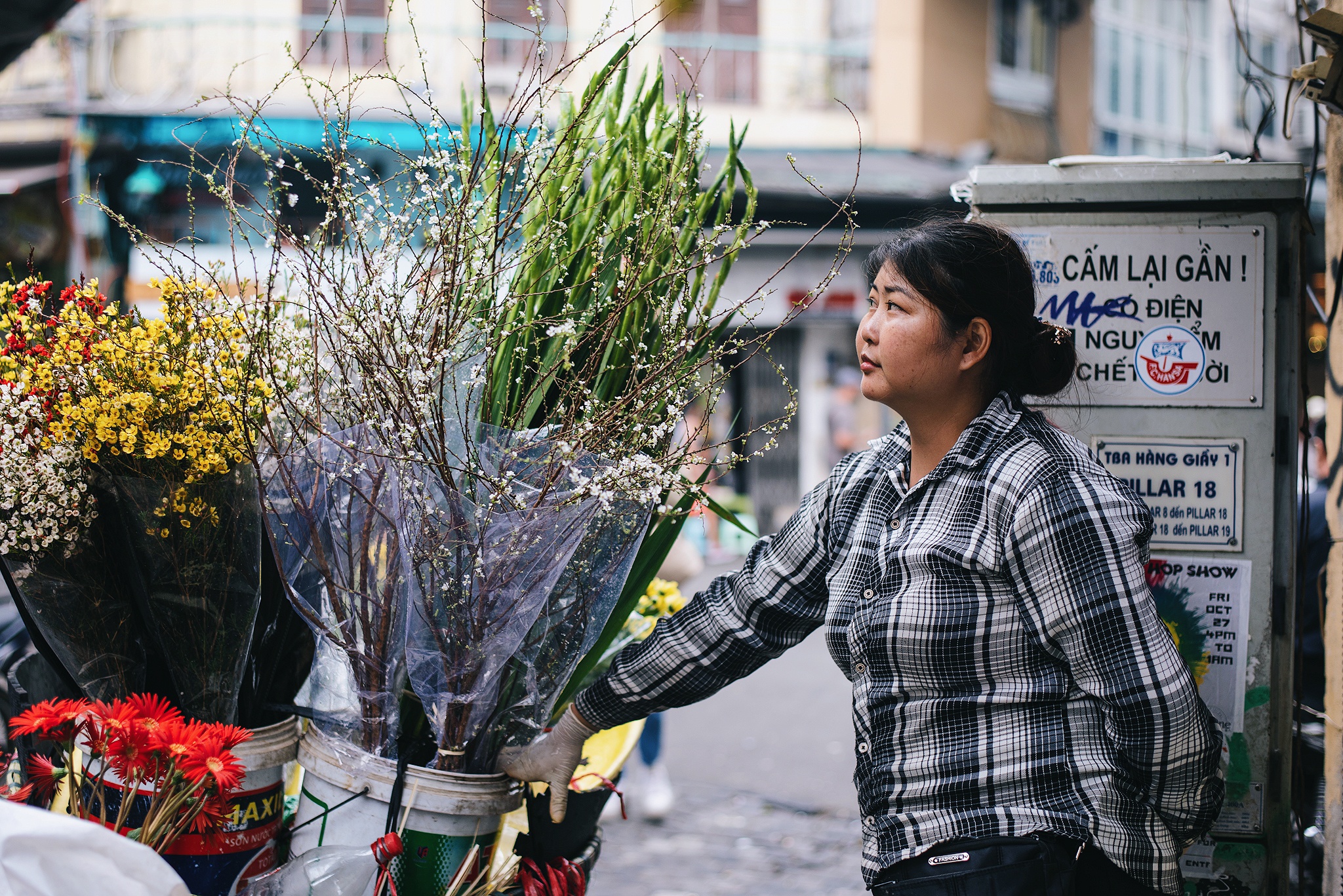 chup anh ao dai,  co ba sai gon,  pho ta hien anh 10