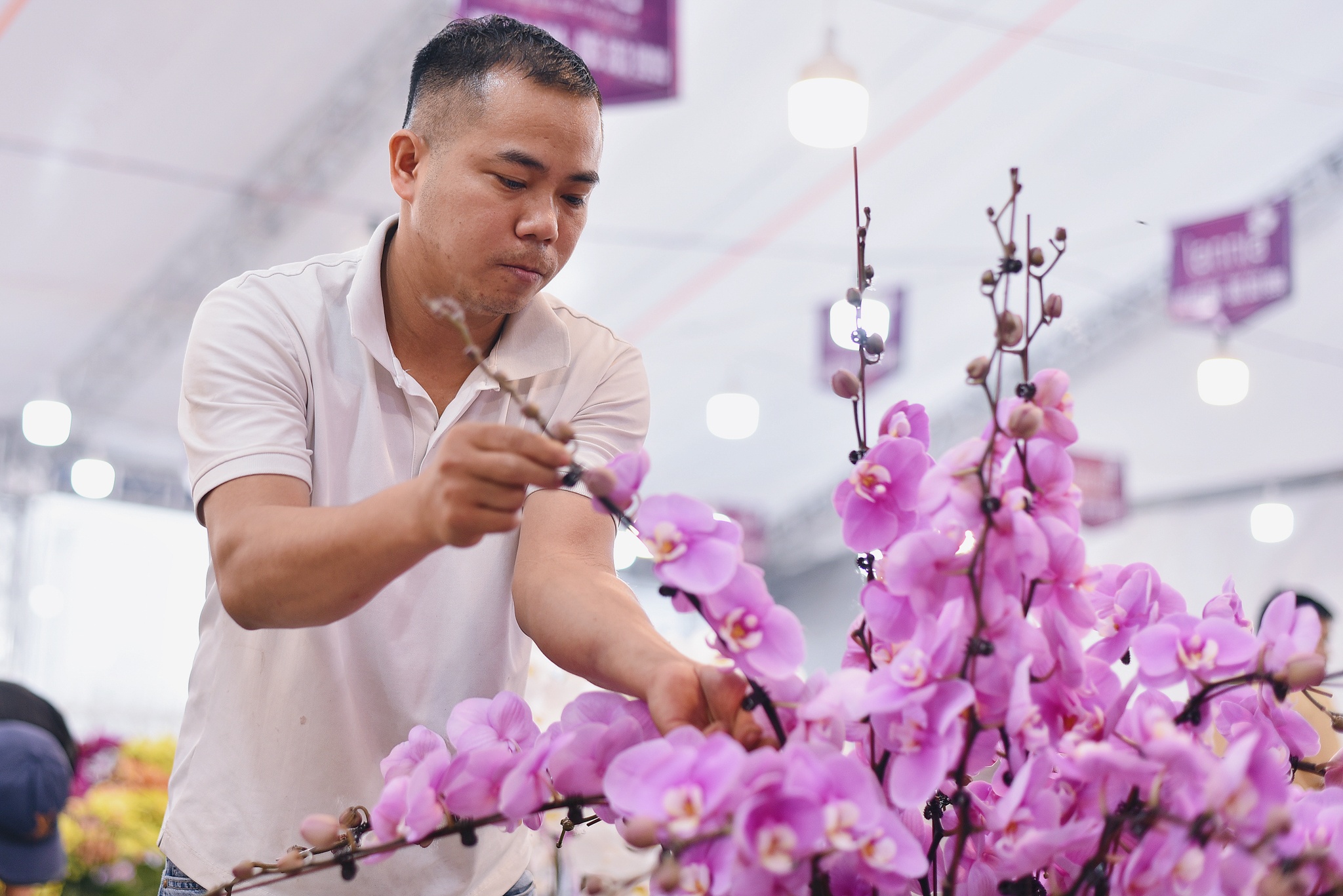 Kiem 6 trieu dong/ngay tu viec cam hoa lan dip Tet o Ha Noi hinh anh