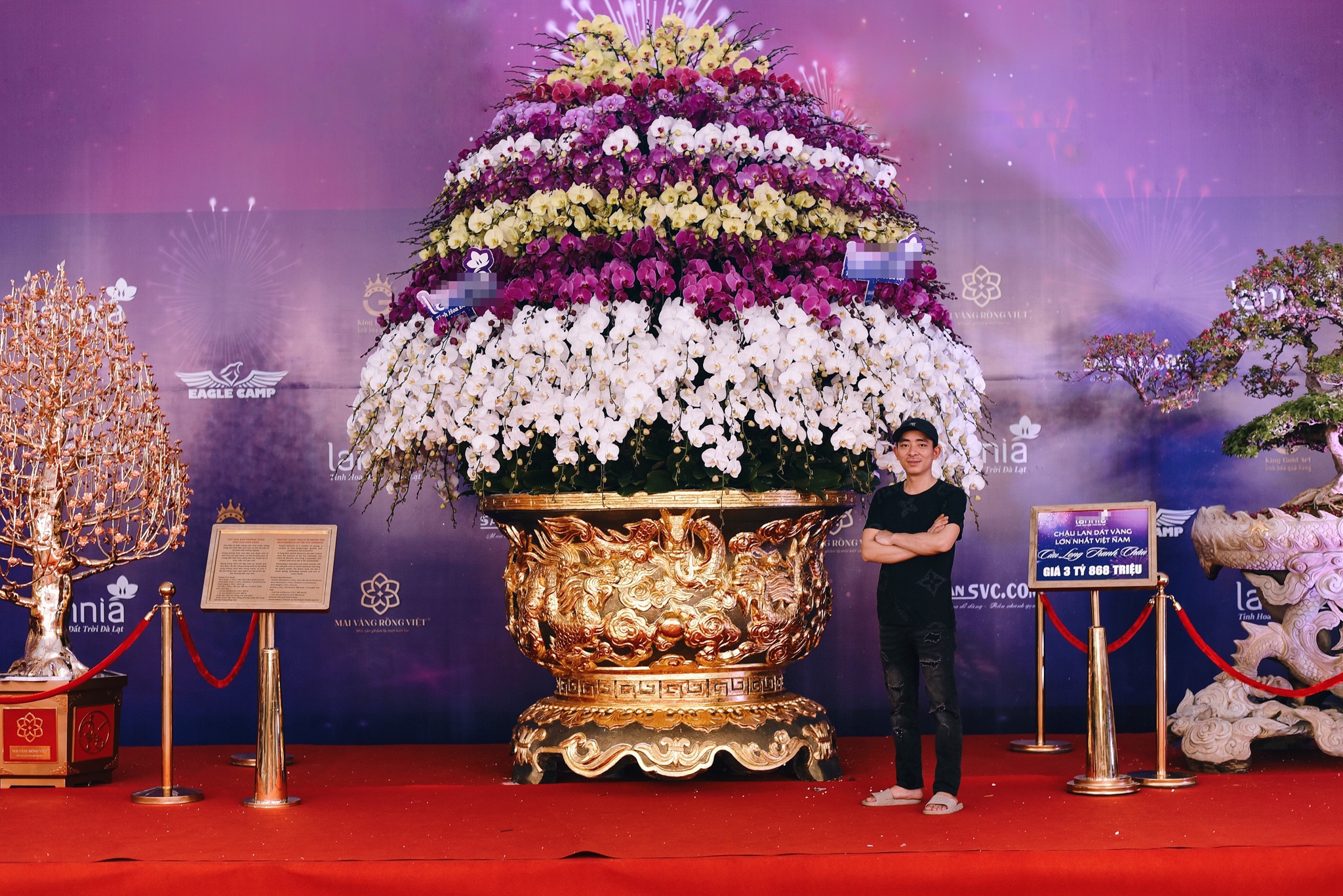 lan ho diep dip Tet anh 3