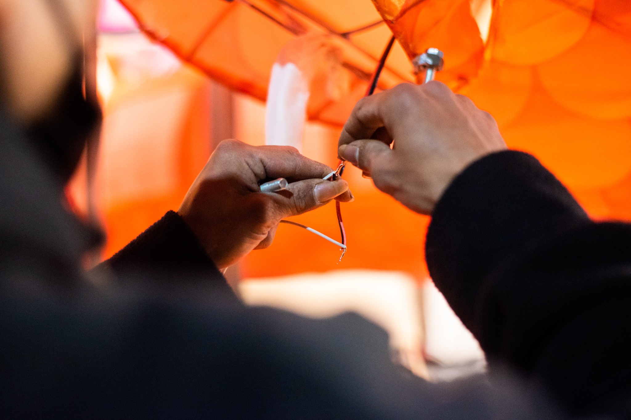 Rong khong lo Hang Ma anh 8