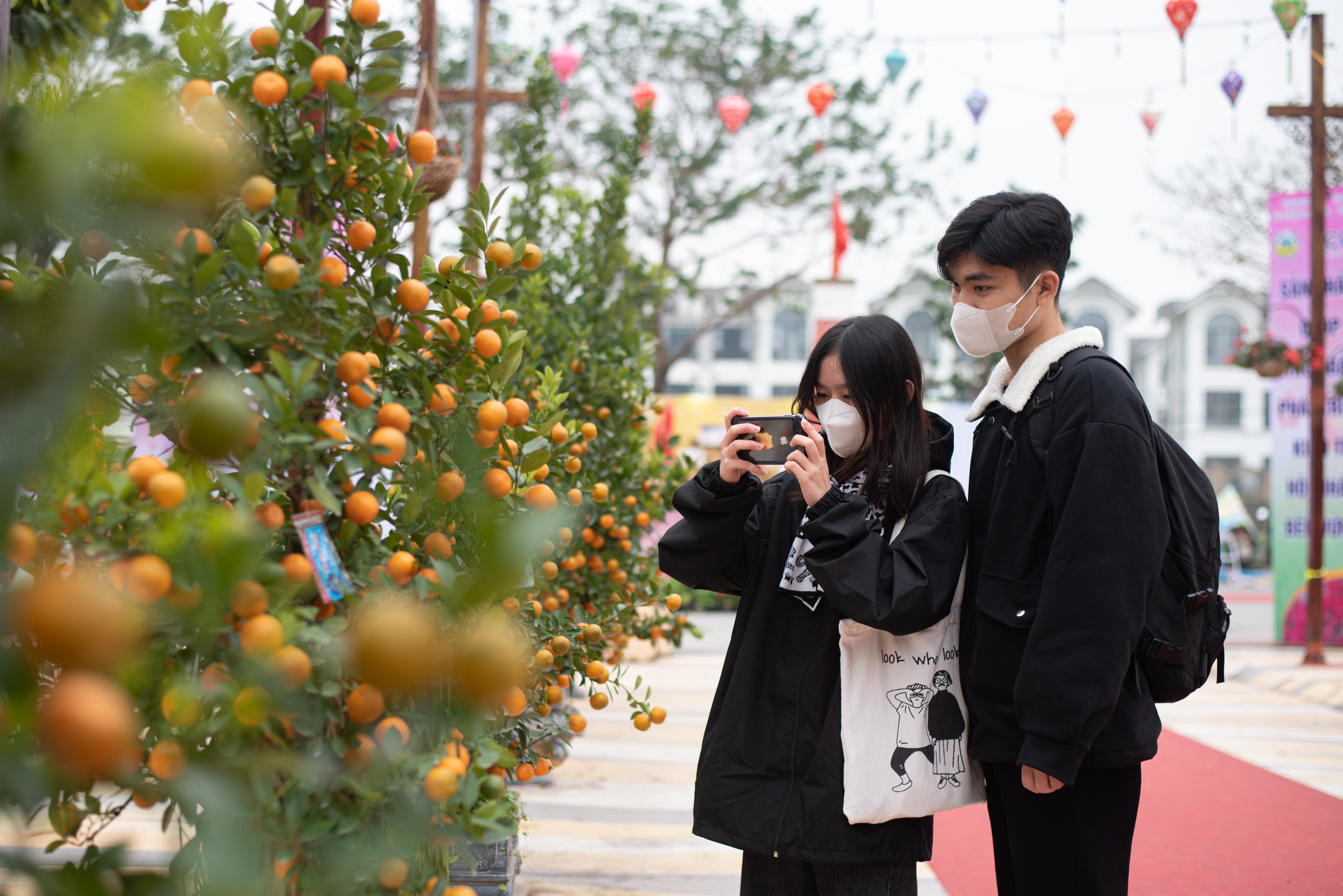 tre bonsai dip Tet anh 16