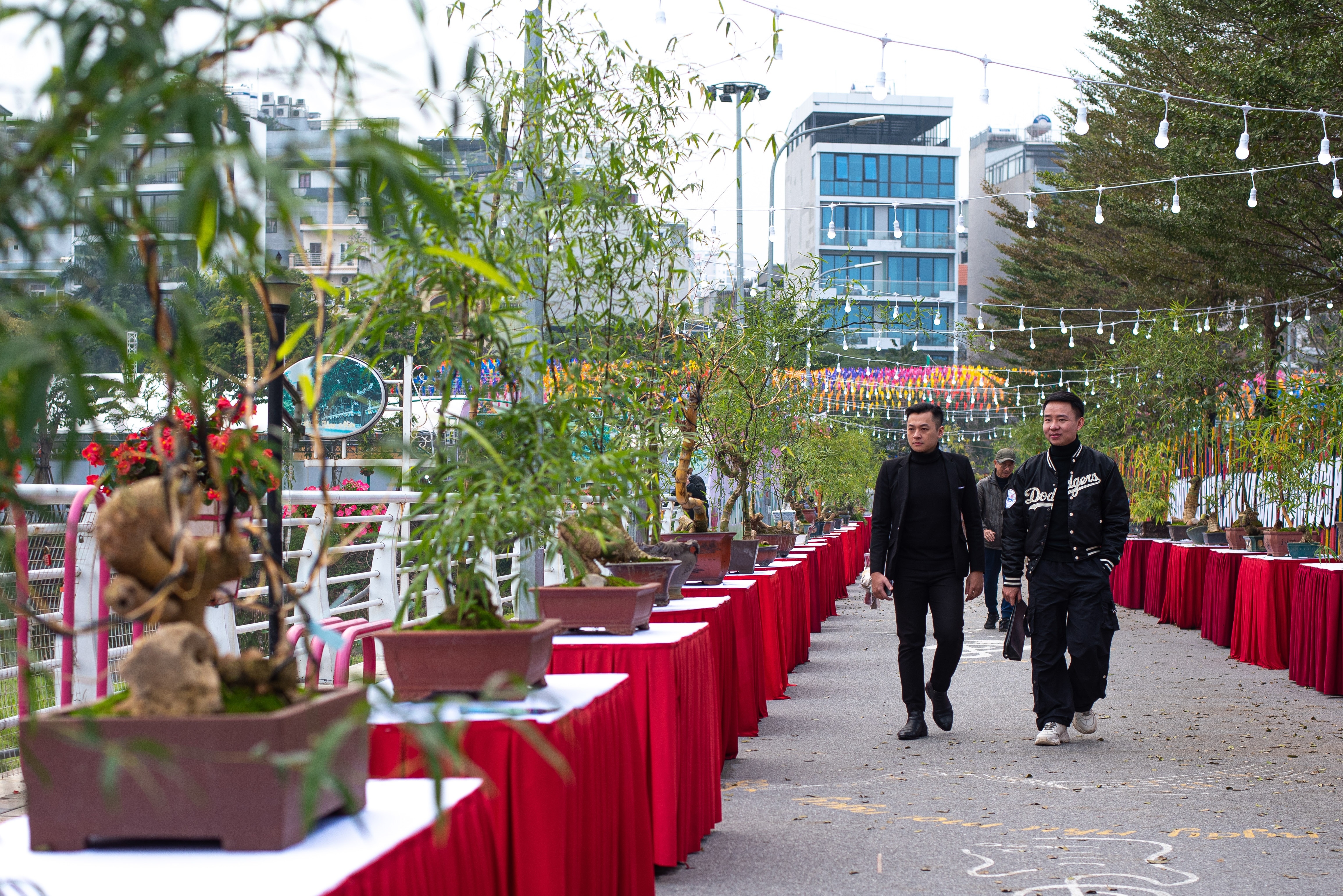 tre bonsai dip Tet anh 1
