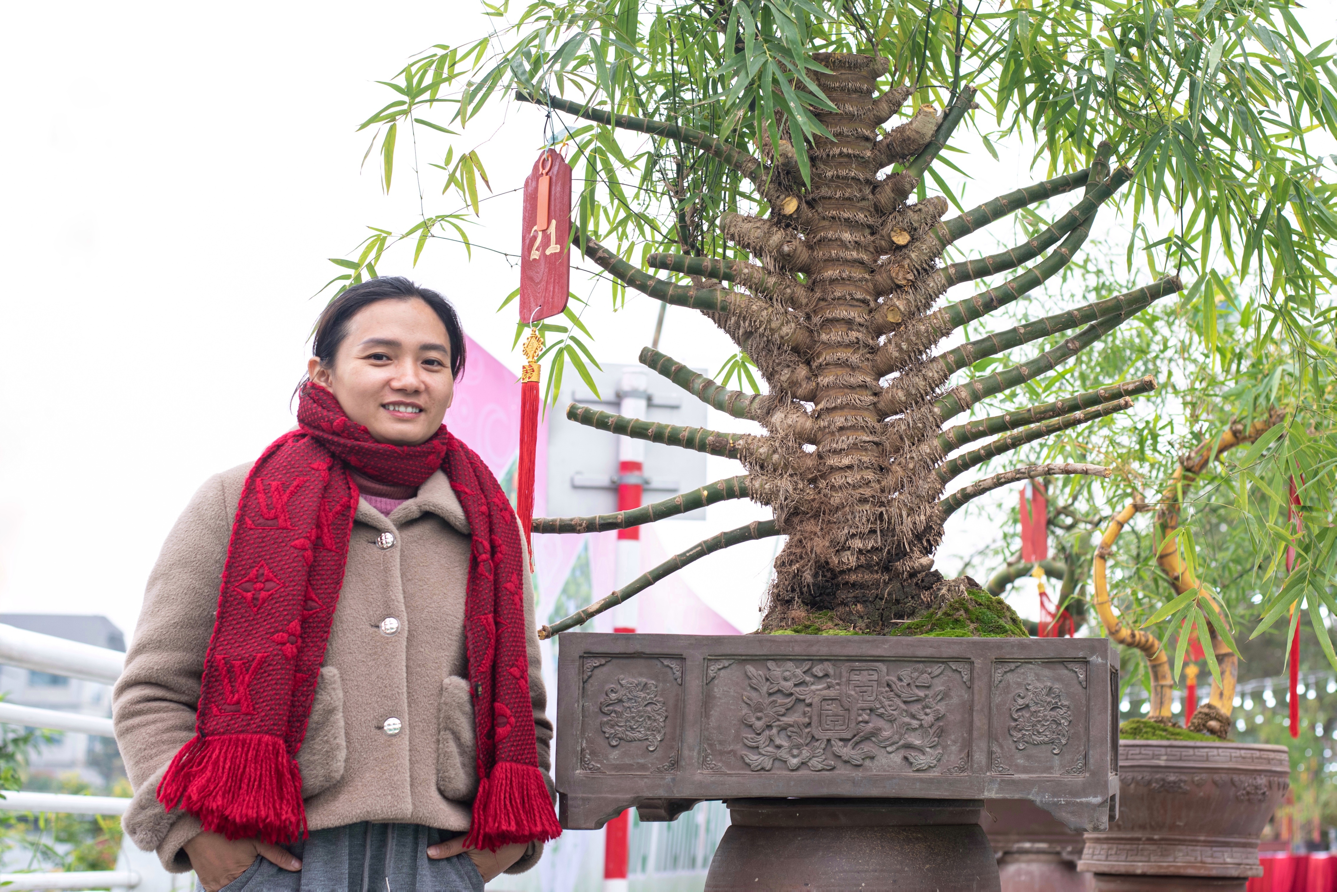 tre bonsai dip Tet anh 5