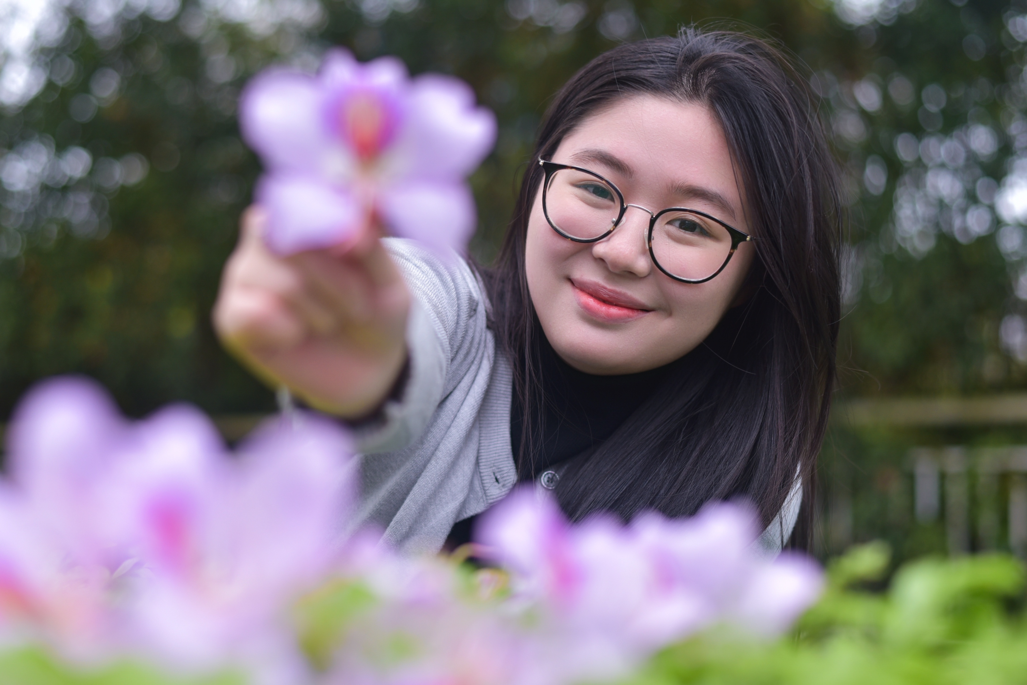 hoa ban o Ha Noi,  chup anh hoa ban,  chup anh checkin,  chup anh song ao anh 5