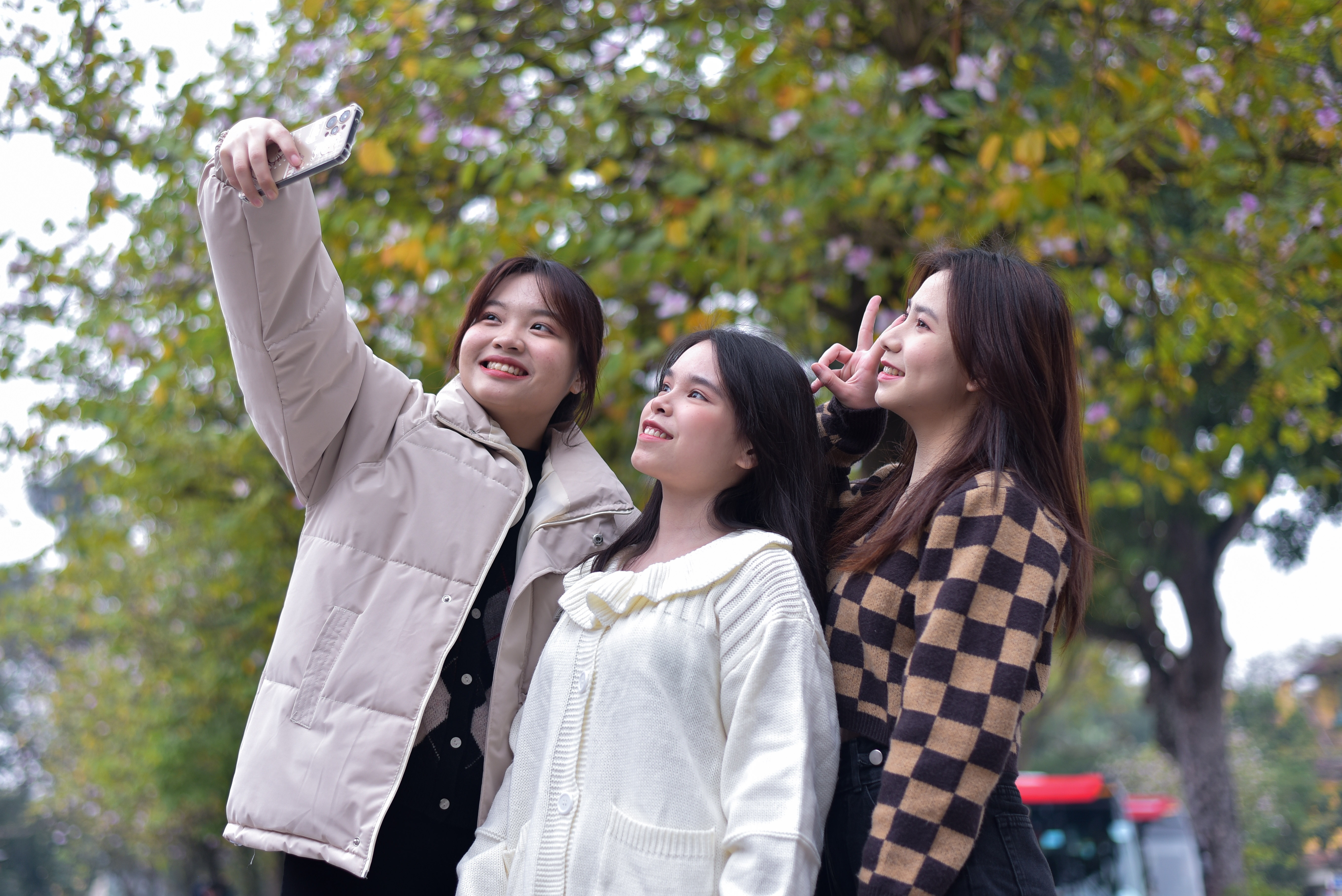 hoa ban o Ha Noi,  chup anh hoa ban,  chup anh checkin,  chup anh song ao anh 3