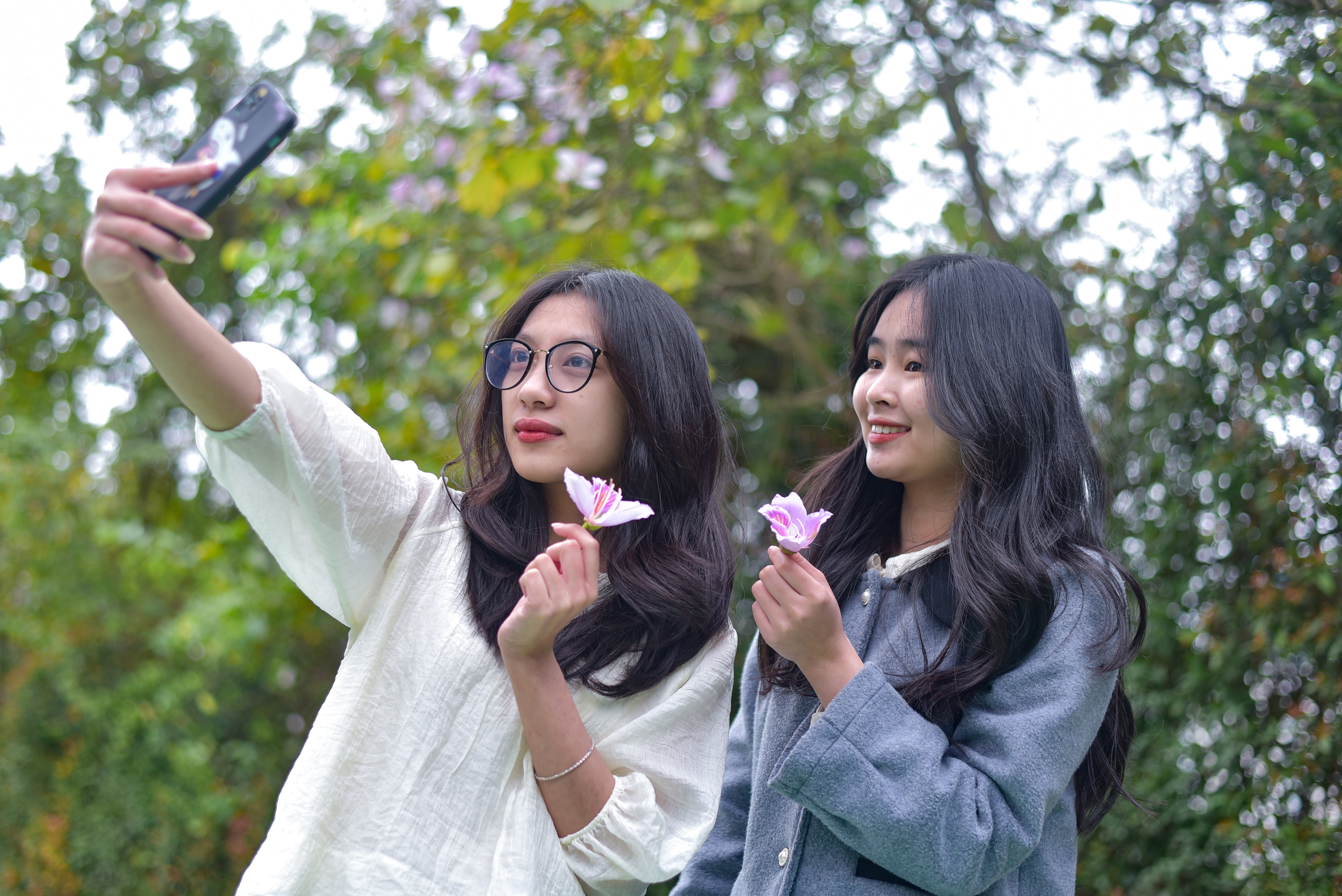 That vong khi 'song ao' voi hoa ban o Ha Noi hinh anh