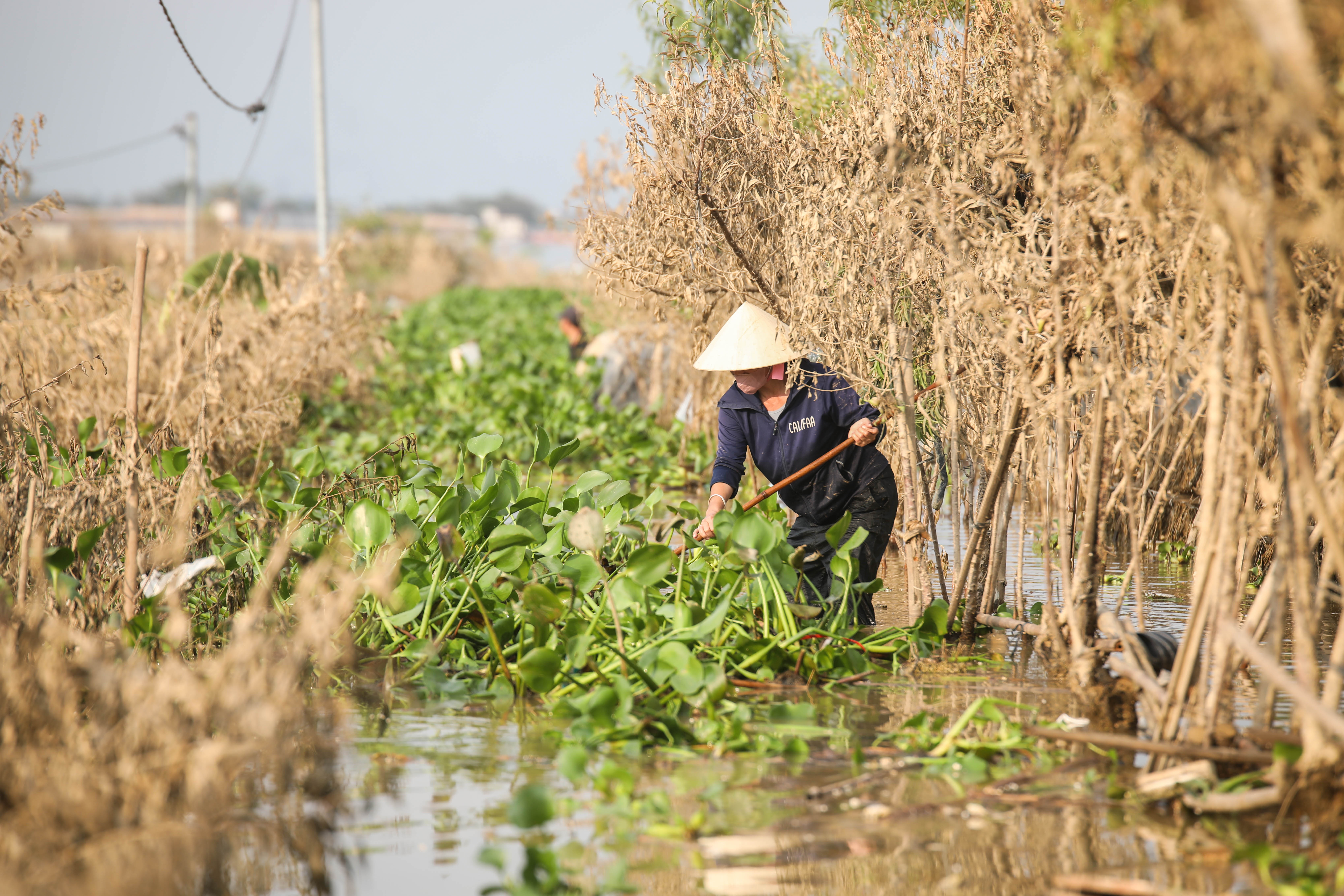 người dân dọn dẹp nhà ảnh 22 nguoi dan don dep nha anh 22