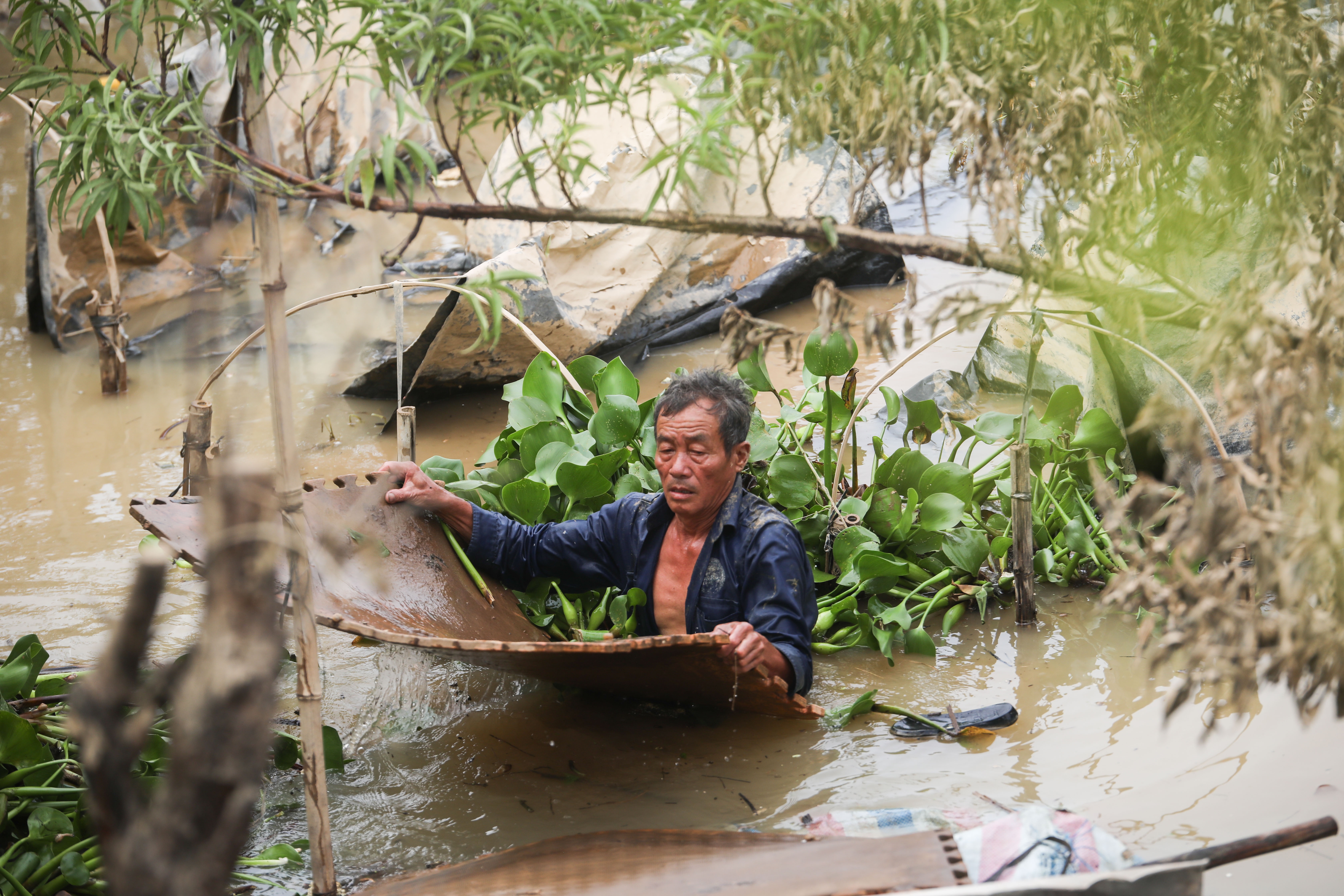 người dân dọn dẹp nhà ảnh 24 nguoi dan don dep nha anh 24