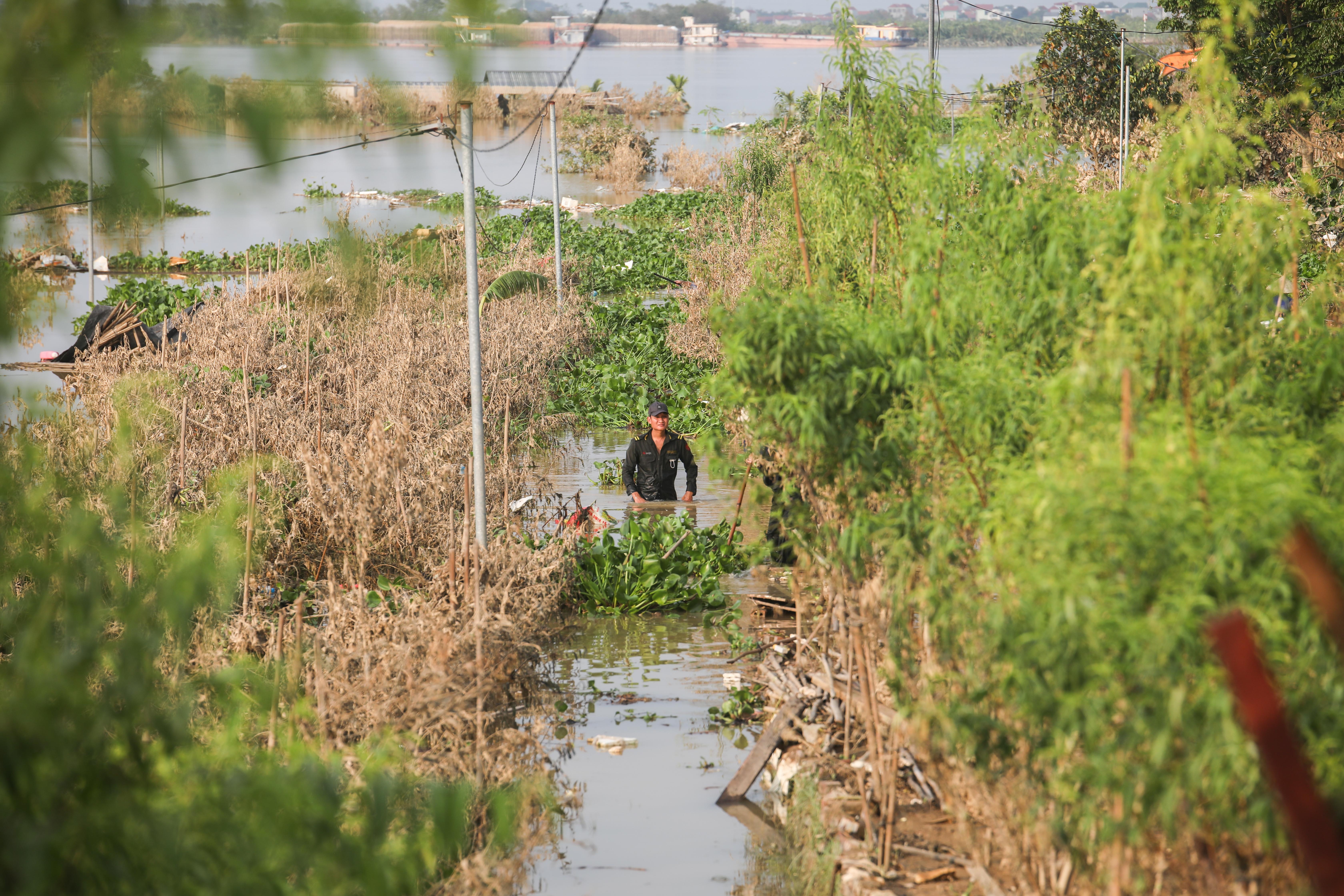 người dân dọn dẹp nhà ảnh 23 nguoi dan don dep nha anh 23