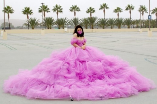 Co gai My noi tieng nho chiec vay gian cach xa hoi hinh anh