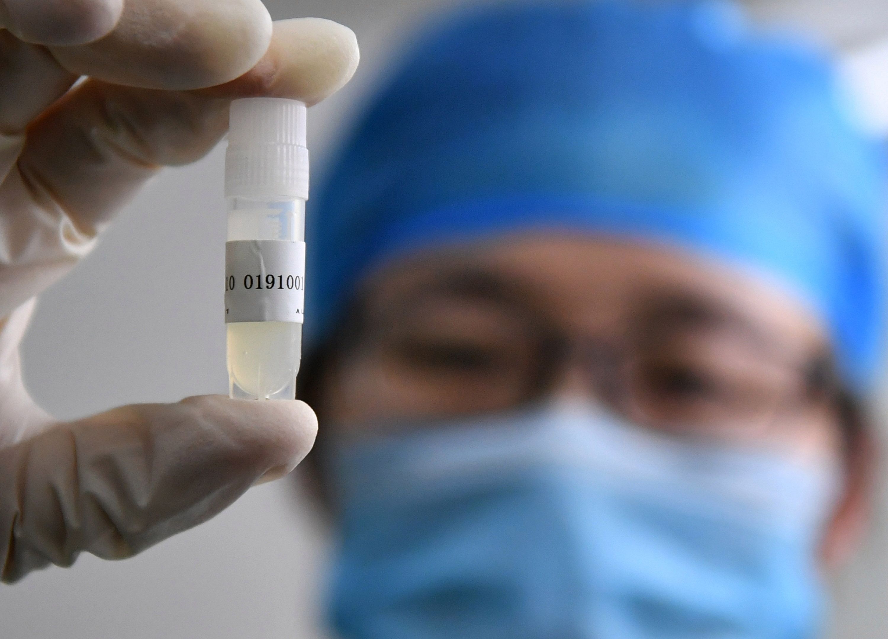 hien tang tinh trung tren mang anh 2