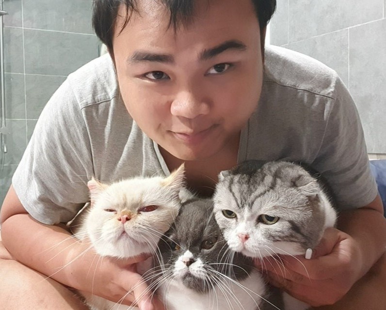 Chú mèo Việt Nam được chế meme 'đau ở đây này' giờ ra sao