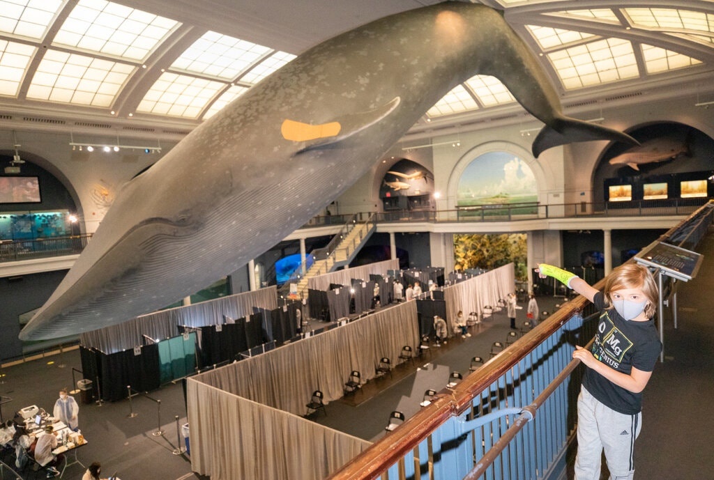 diem tiem vaccine covid-19 ky la anh 9