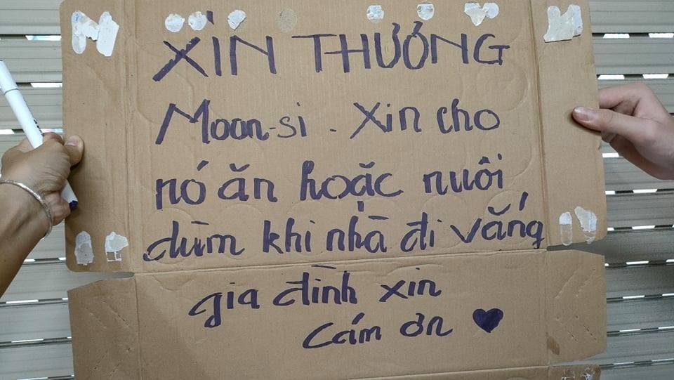 tinh nguyen vien o tp.hcm cham cho giup gia dinh f0 anh 1