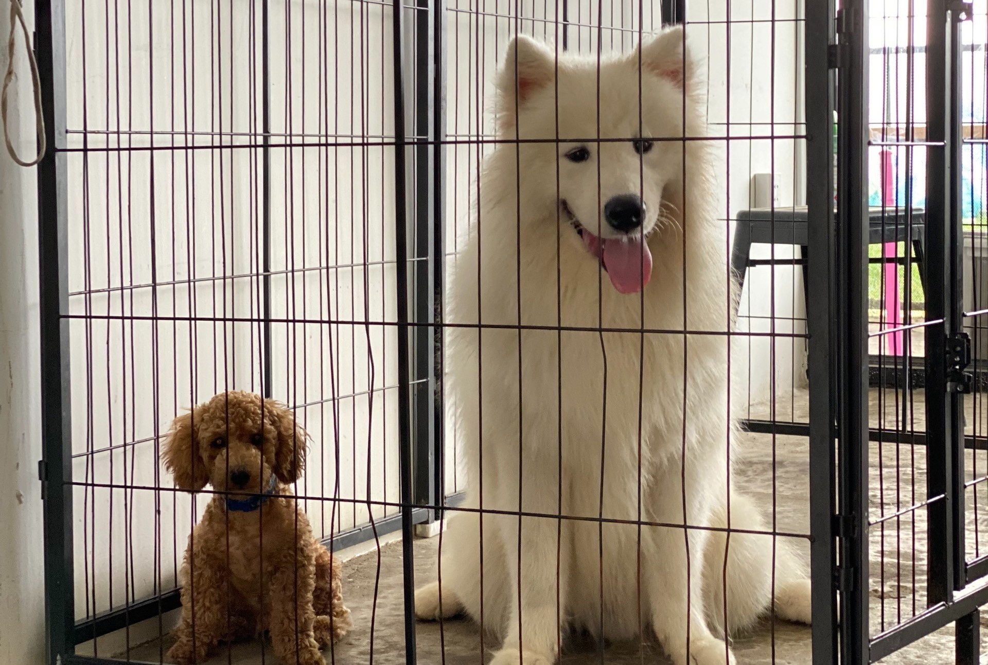 Chi hon 63 trieu gui cho cung trong 3 thang dich o TP.HCM hinh anh