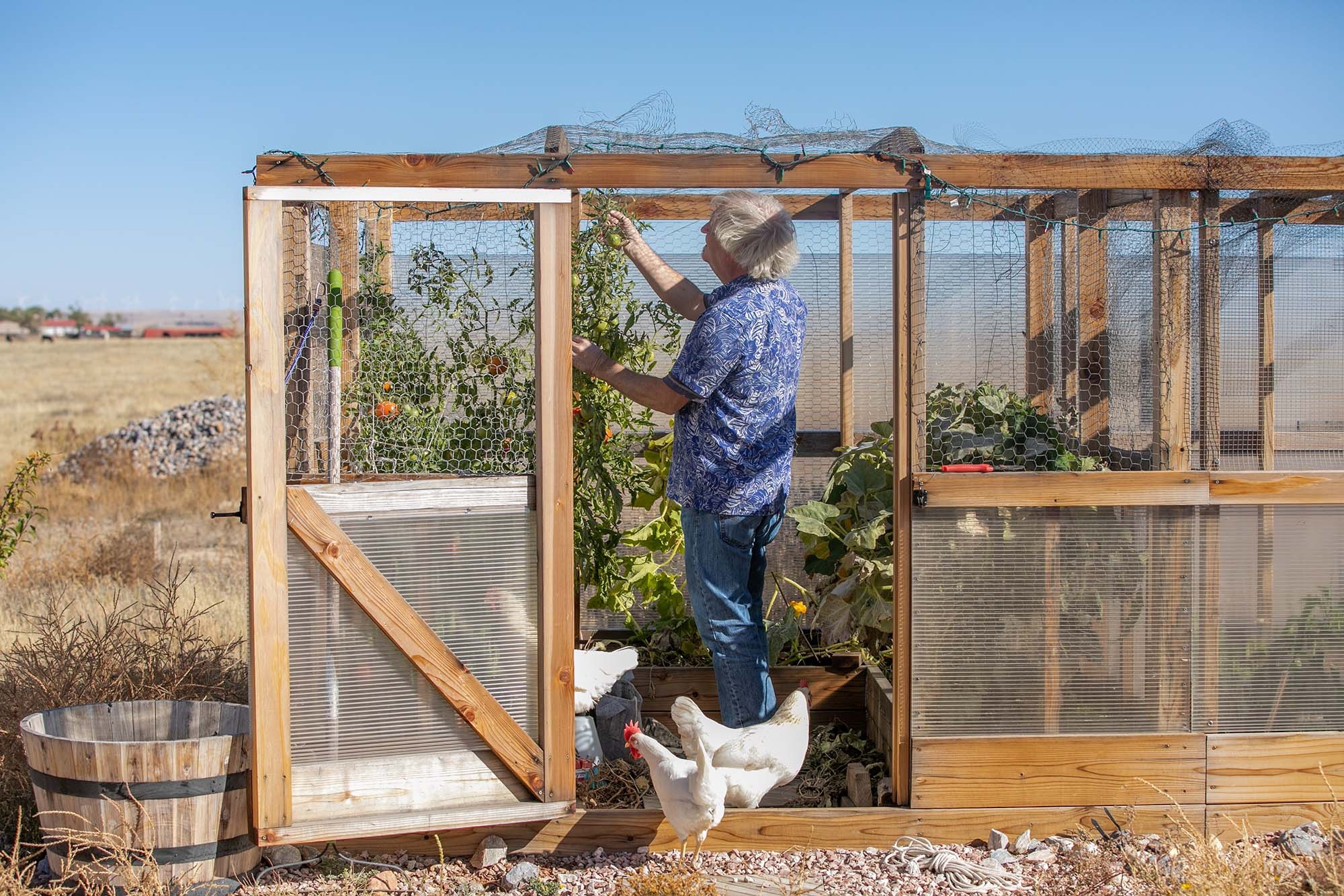 nguoi my bo pho ve que anh 1