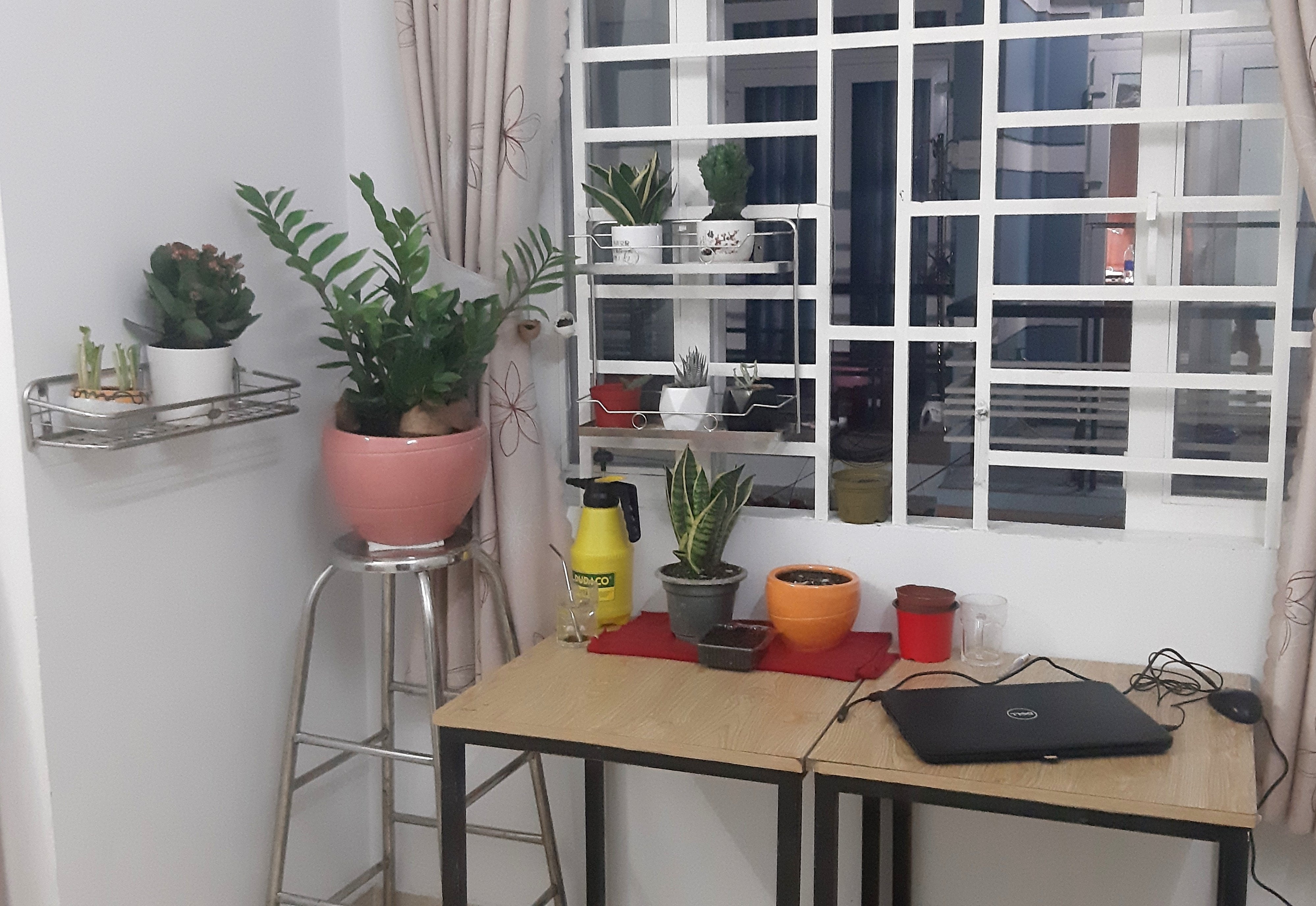 don ra o rieng anh 3