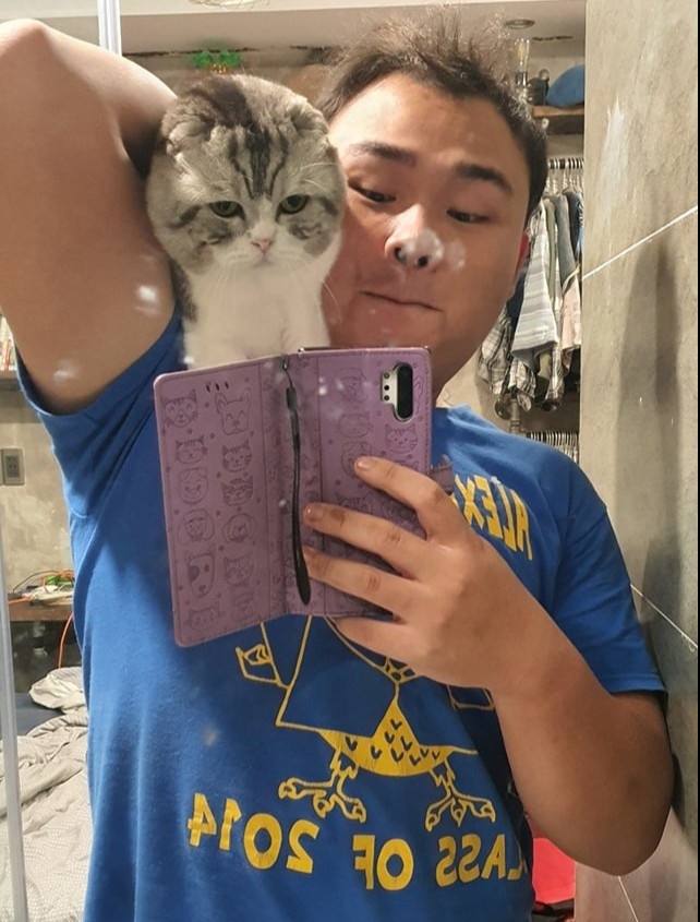 chú mèo "đau ở đây này" qua đời ảnh 2 chu meo "dau o day nay" qua doi anh 2