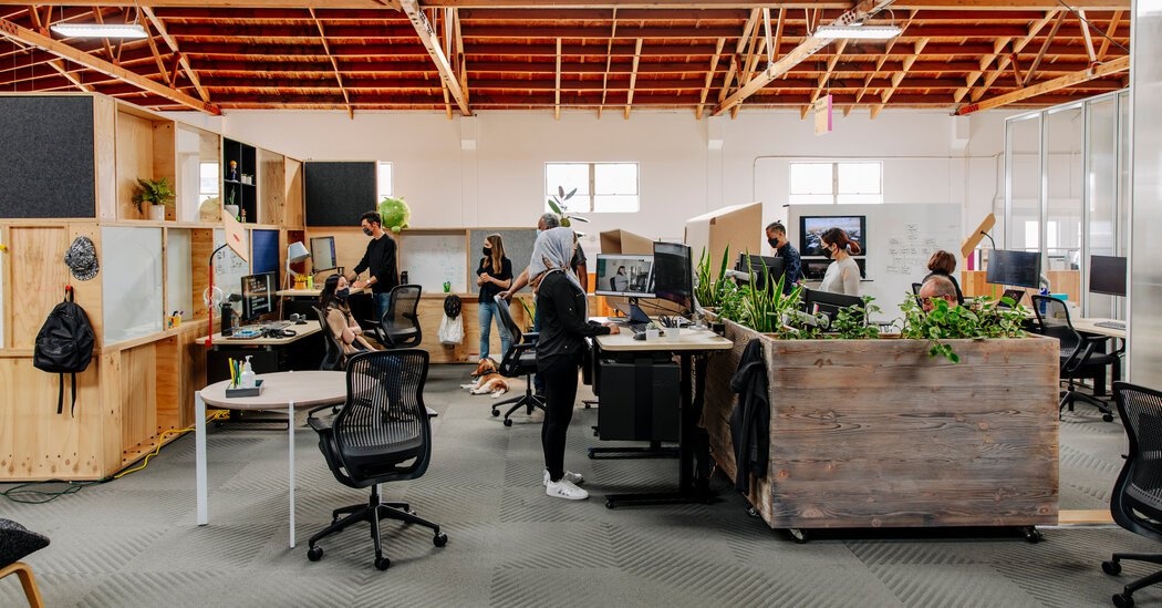 gen z lam viec tu xa anh 5