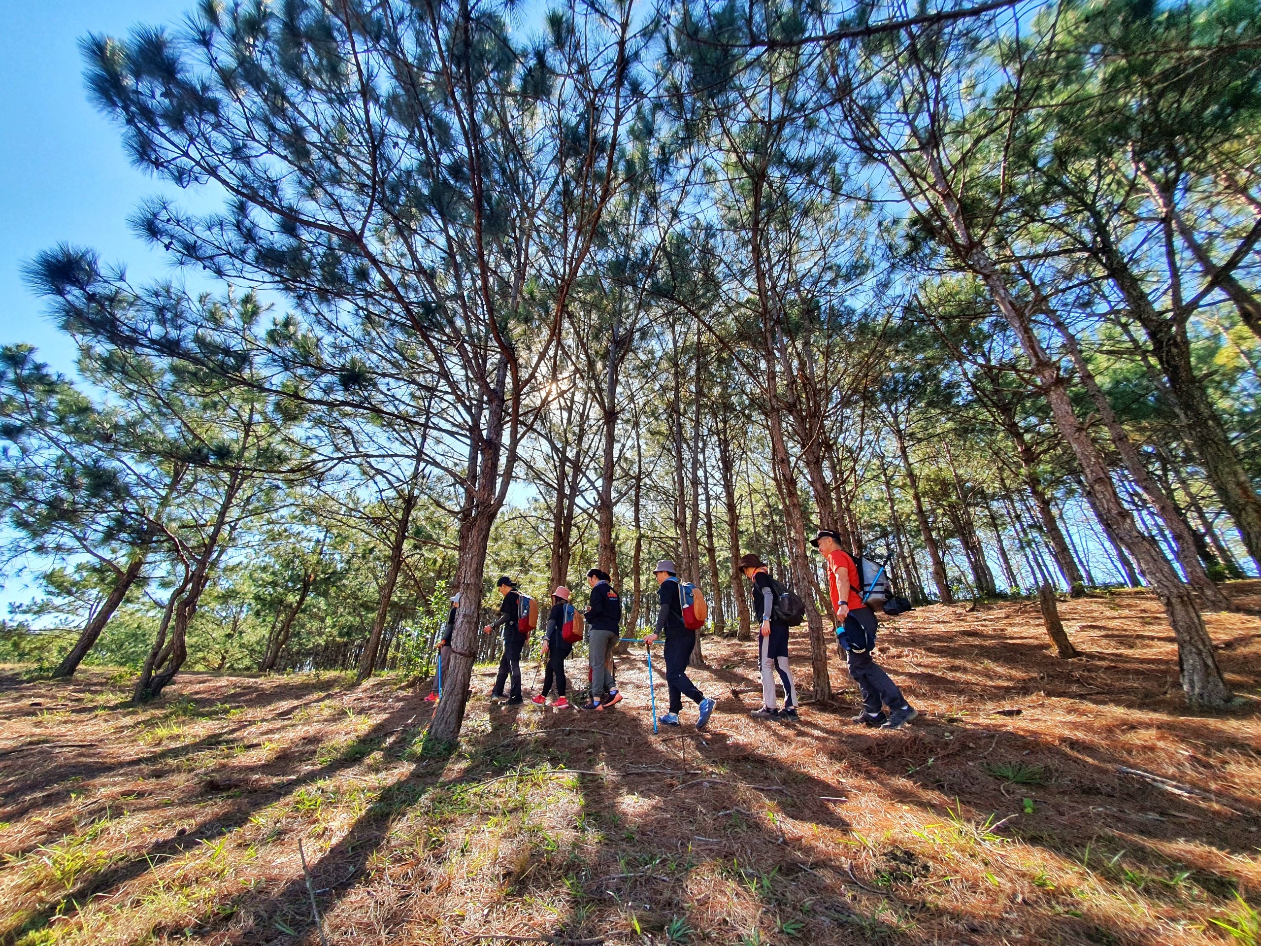 du lịch phục hồi ảnh 2 du lich phuc hoi anh 2