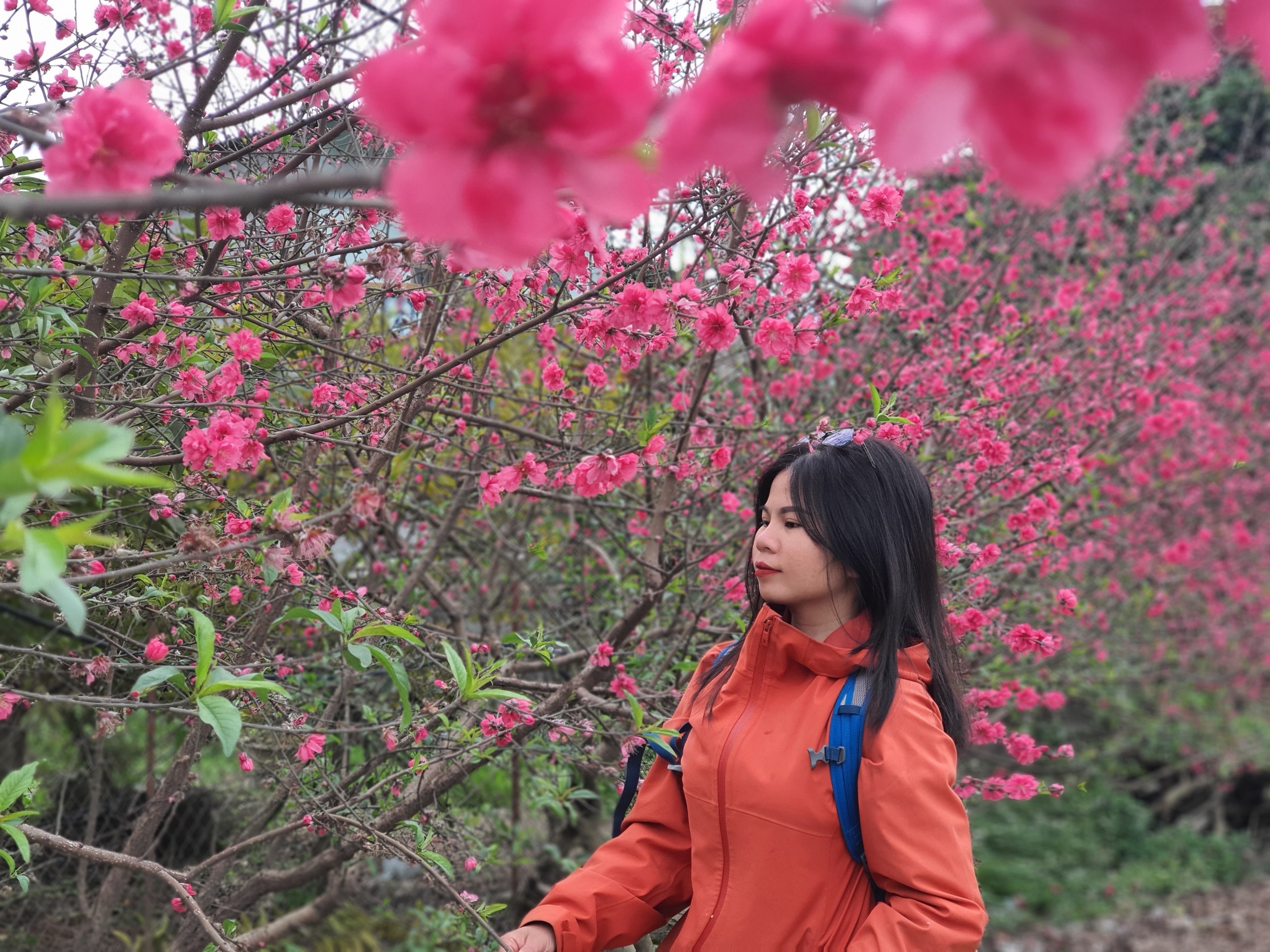 du lịch phục hồi ảnh 1 du lich phuc hoi anh 1