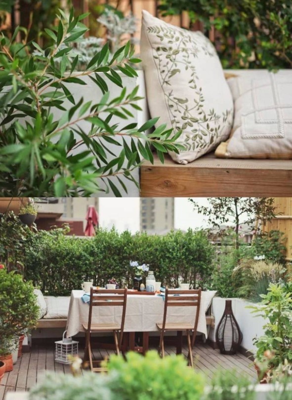 Vườn sân thượng ảnh 5 Vuon san thuong anh 5