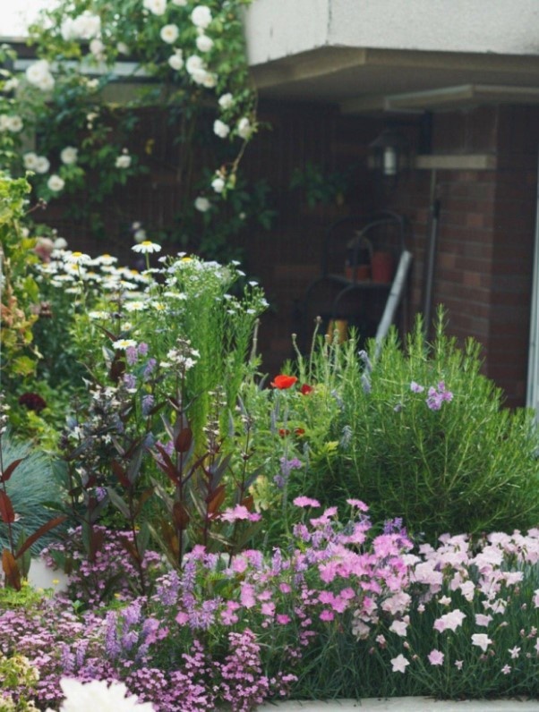 Vườn sân thượng ảnh 3 Vuon san thuong anh 3