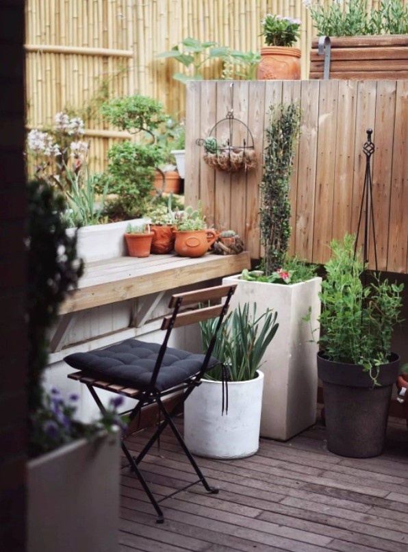 Vườn sân thượng ảnh 4 Vuon san thuong anh 4